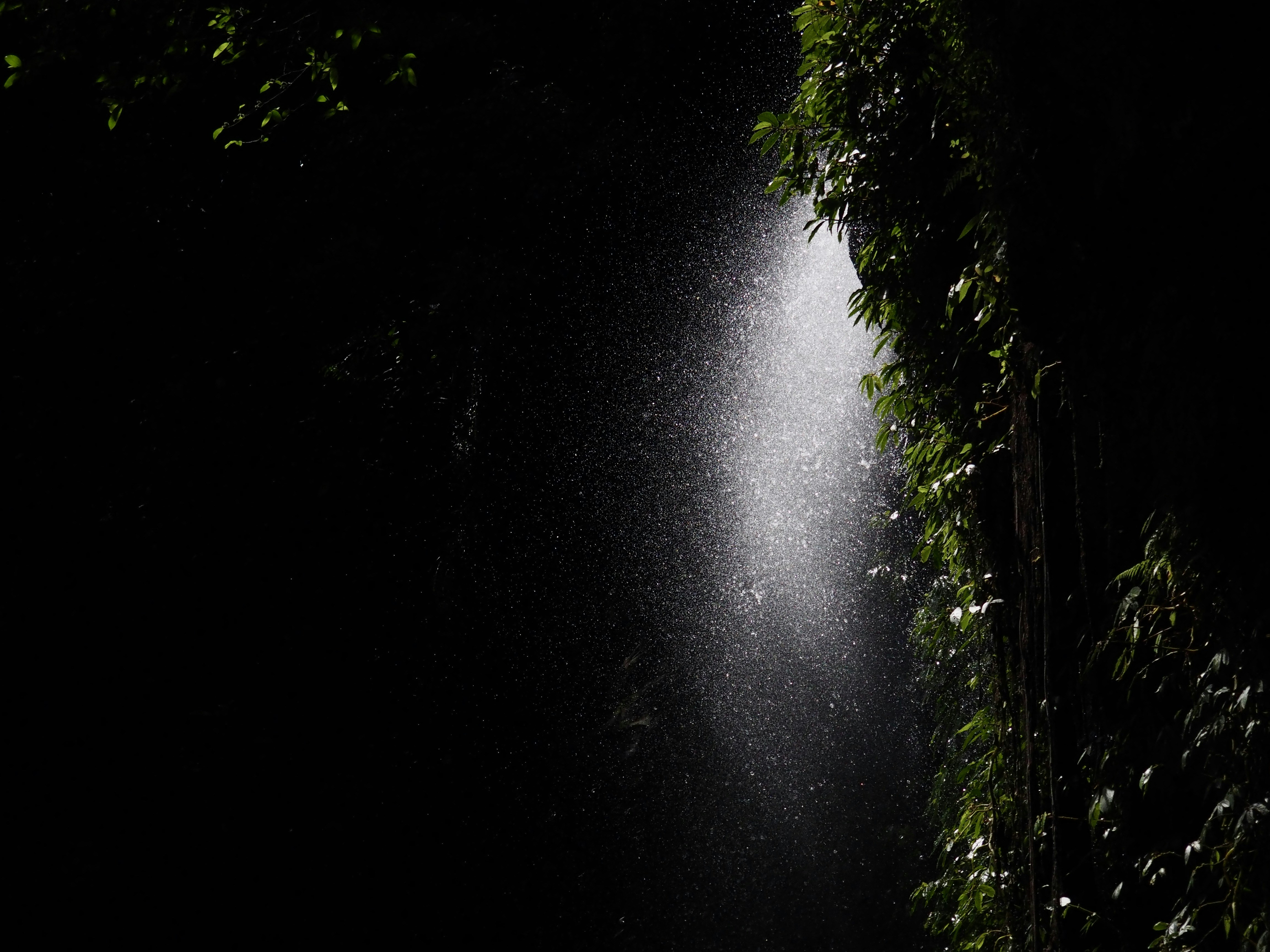 Photo by jessbaileydesigns