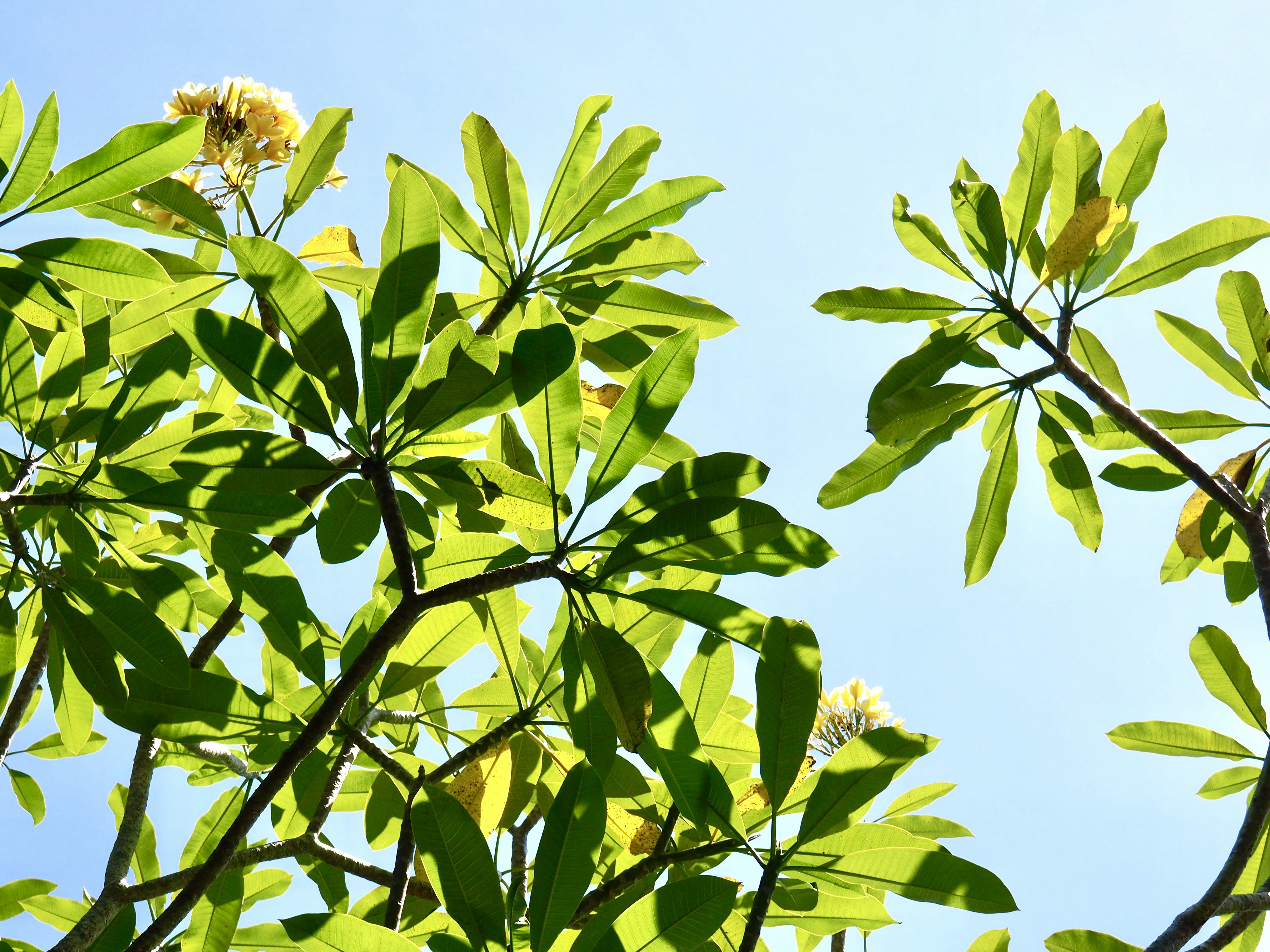 Photo by jessbaileydesigns