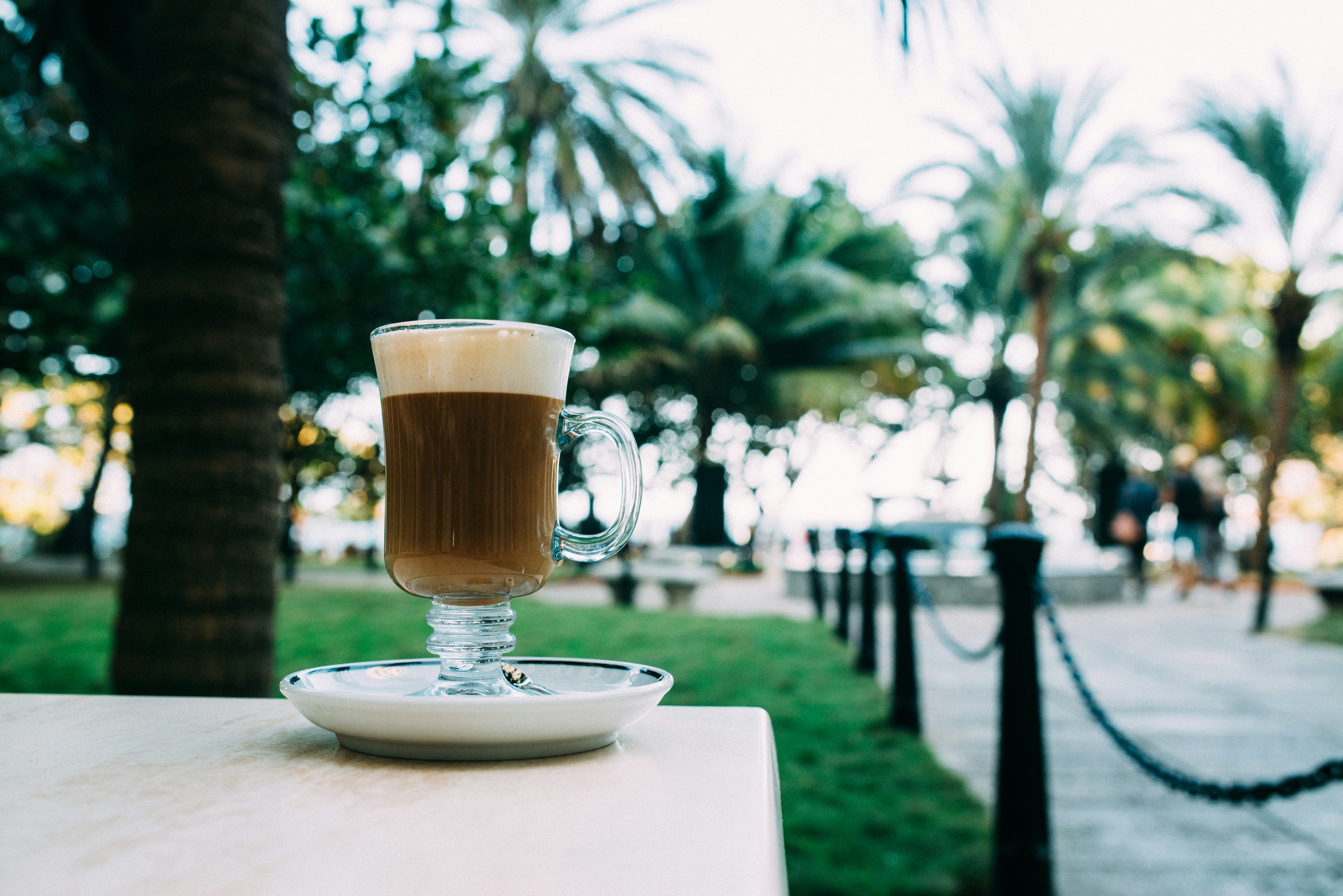 焙煎日からの風味変化タイムライン — 豆はいつまで美味しい？
