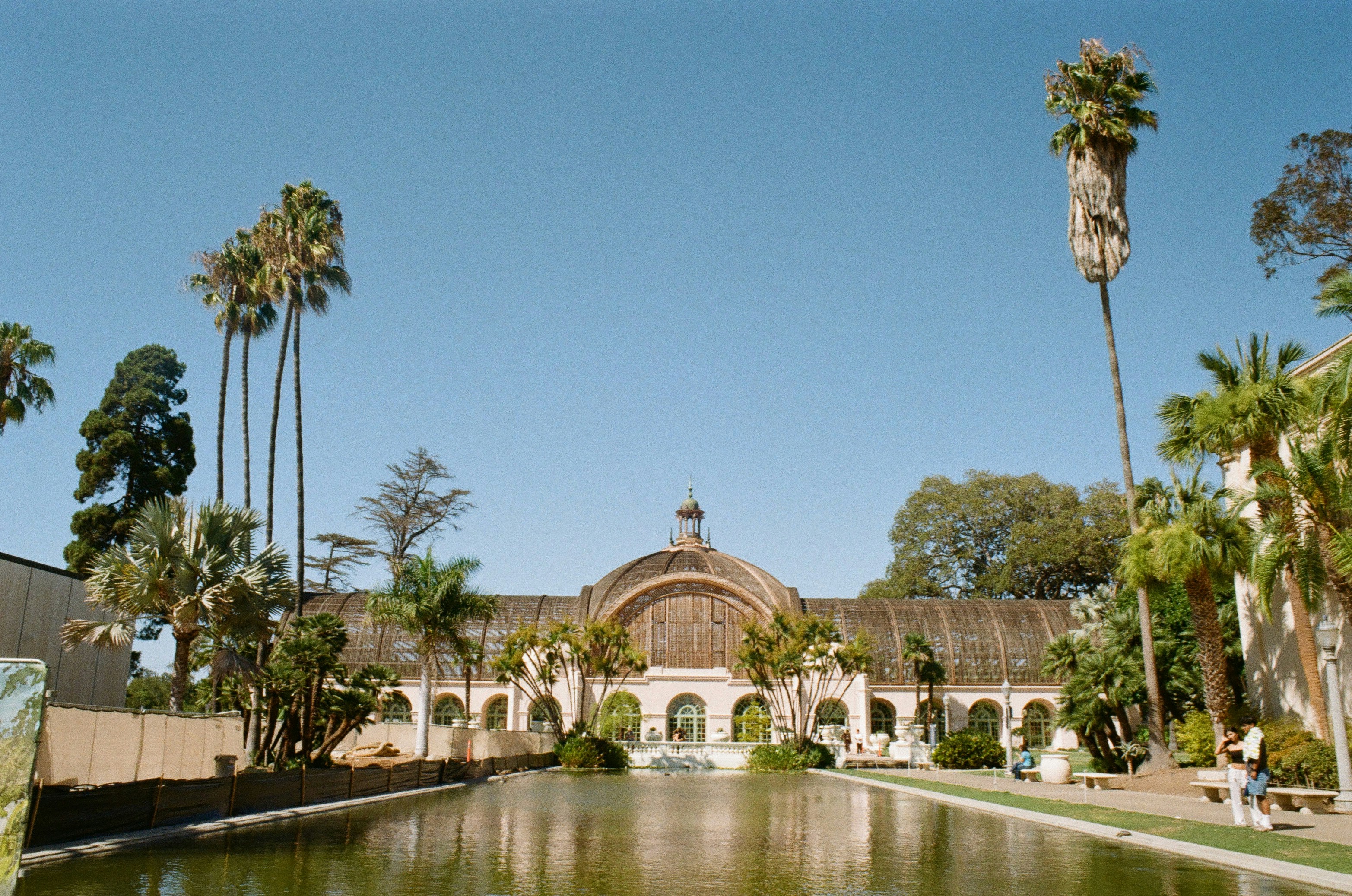 Grand building with palm trees and reflecting pool