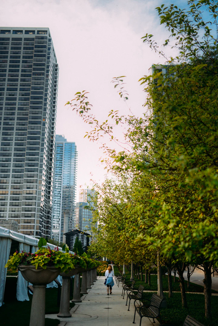 Woman walking on a path lined with trees and buildings