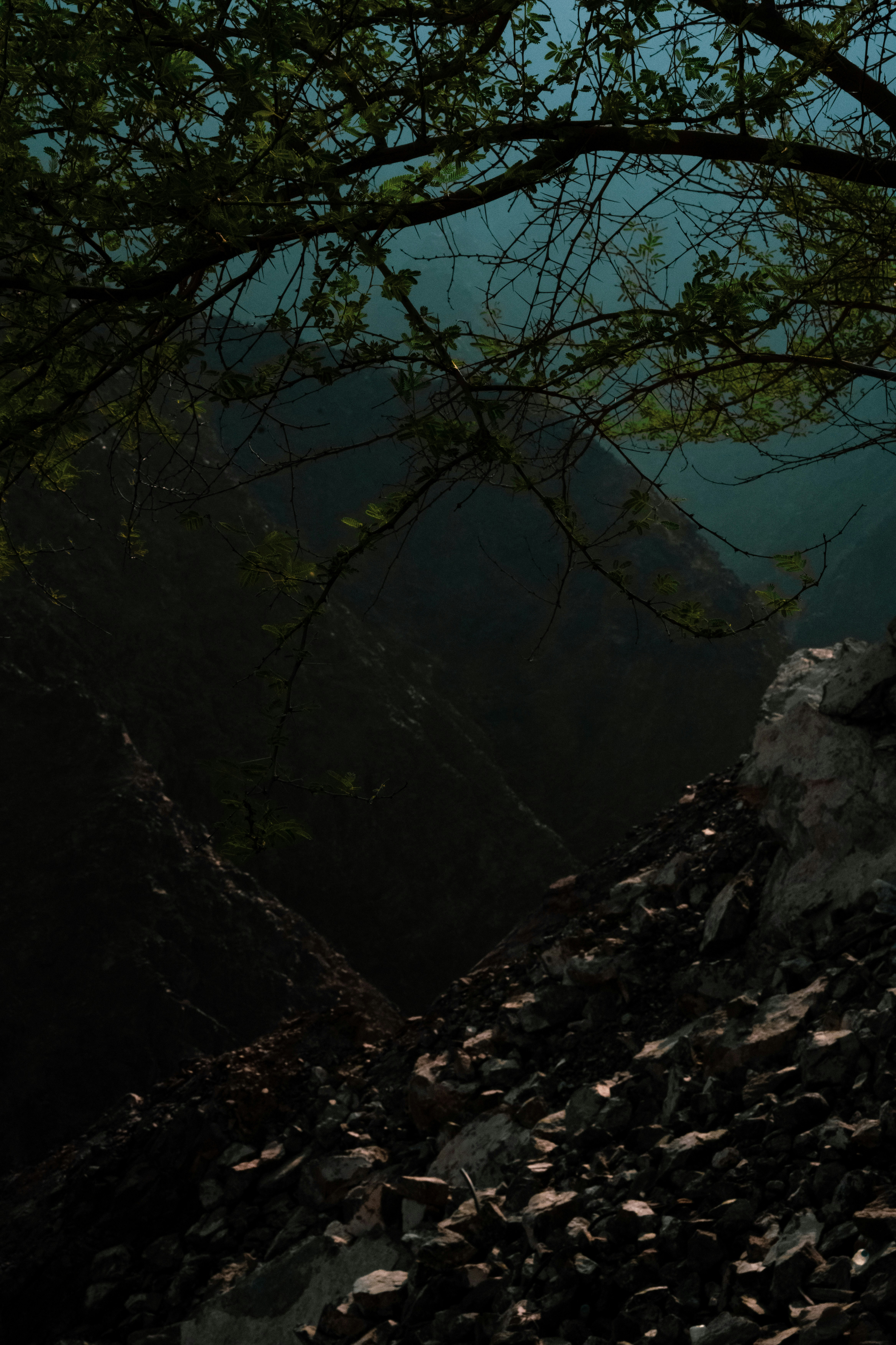 Photo by luanfonsecavisuals