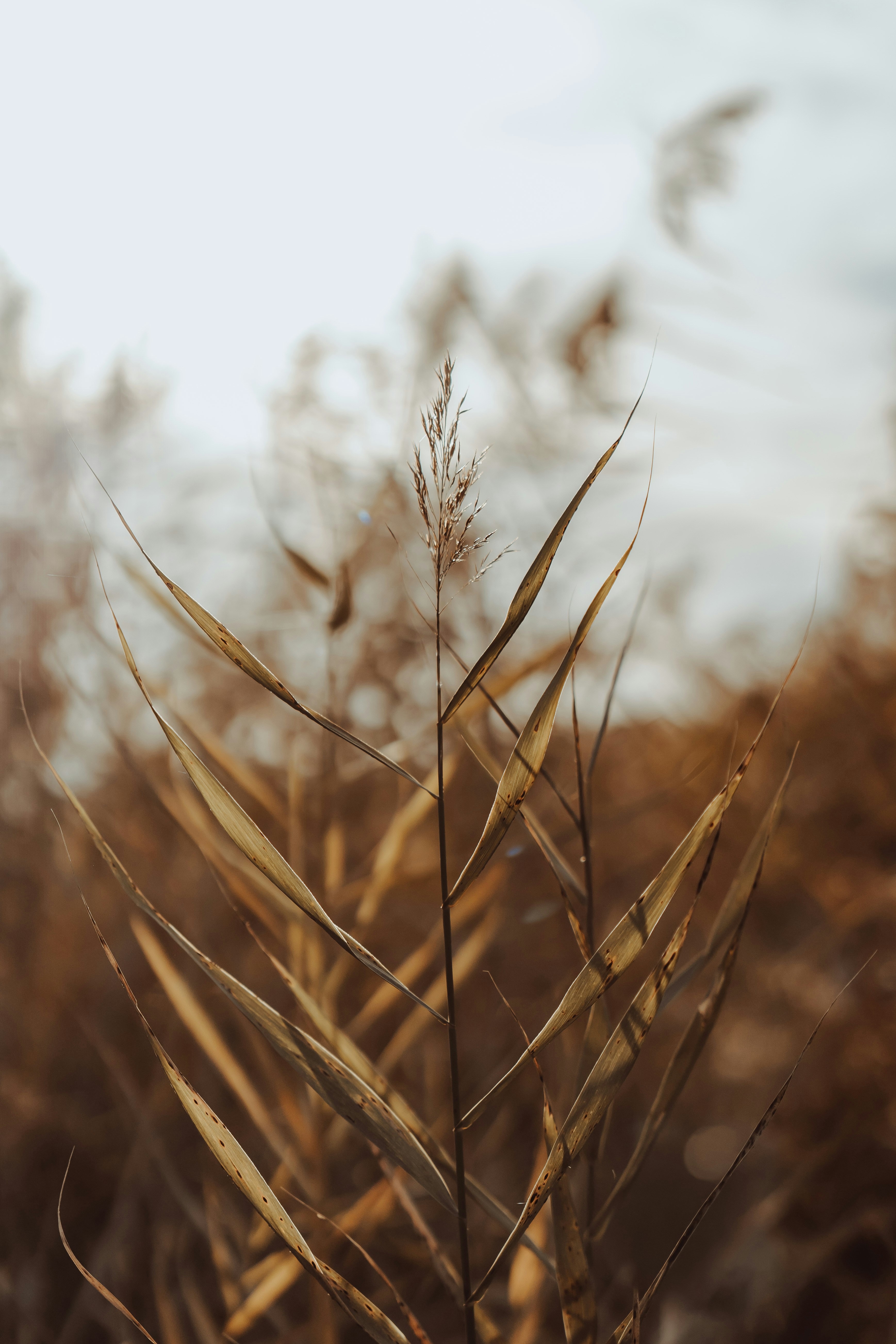 Photo by annaspoljar