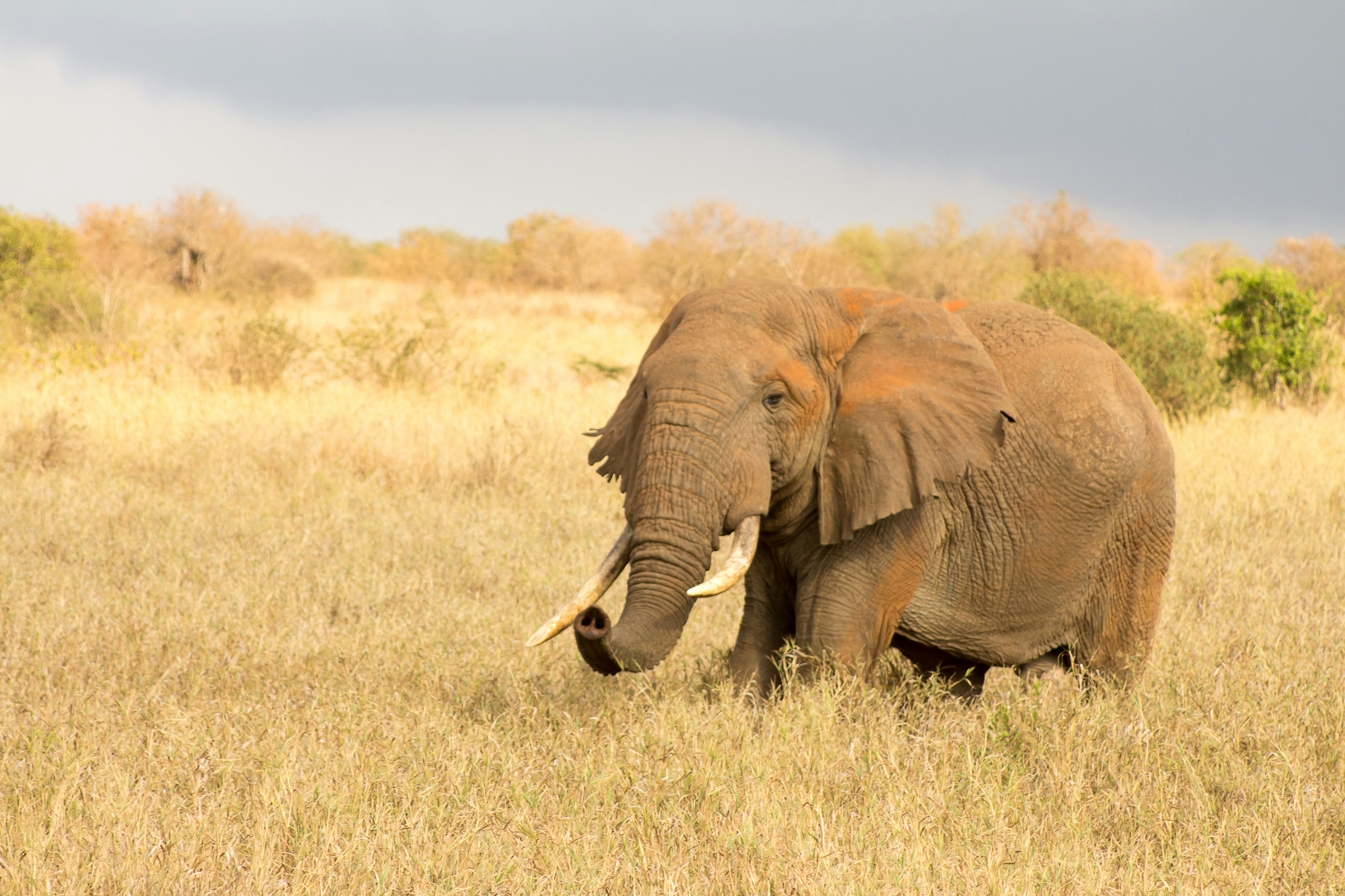 Photo by mocream_coffee