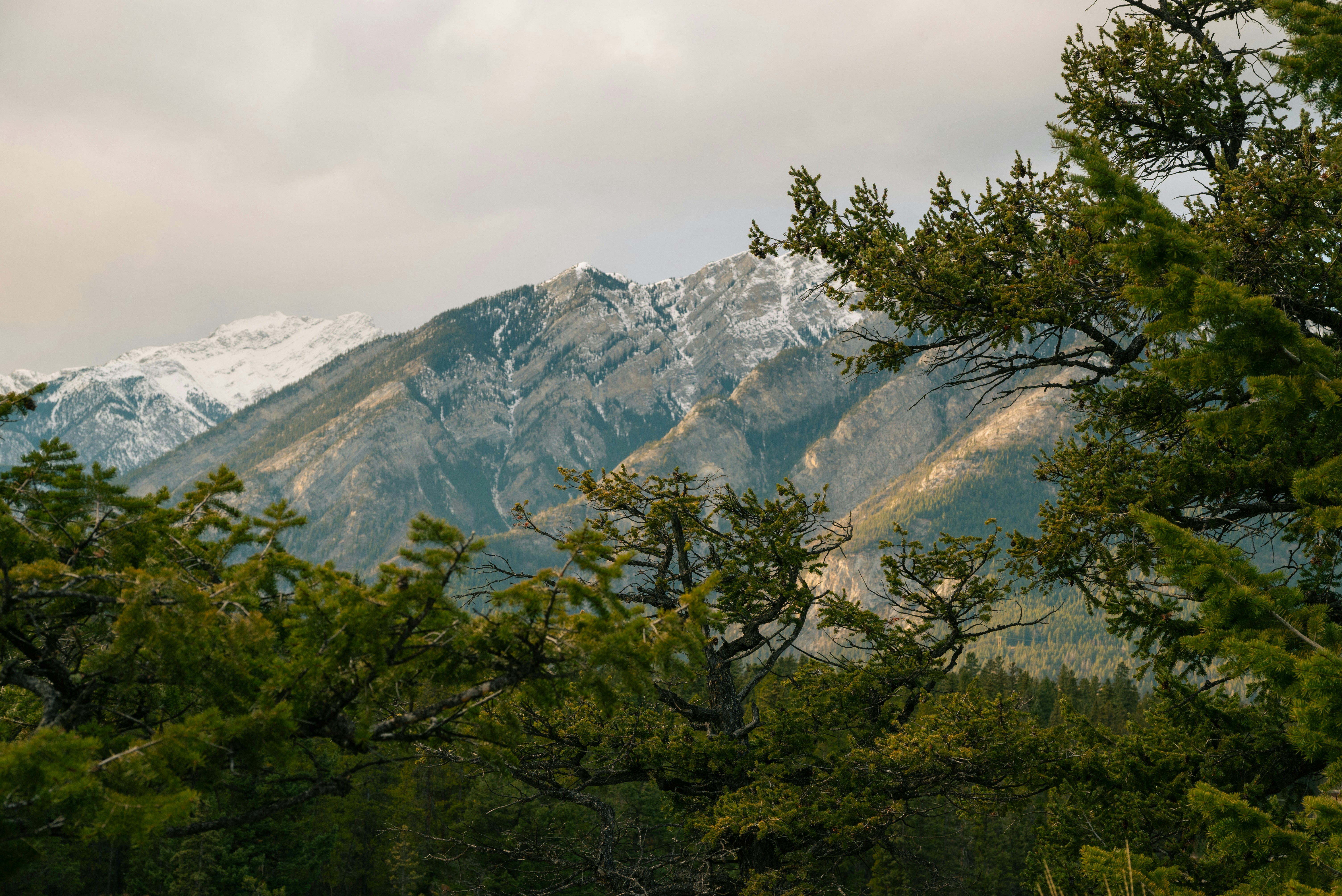 Luxury mountain tent night, premium camping gear forest, scenic hiking backpack vista, titanium camping stove flame., ilustrasi artikel Elevate Your Outdoor Experience: High-End Camping Gear Worth the Investment 3