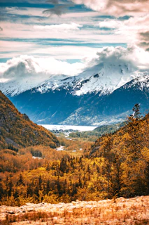 Snow-capped mountains overlook a valley with autumn trees.