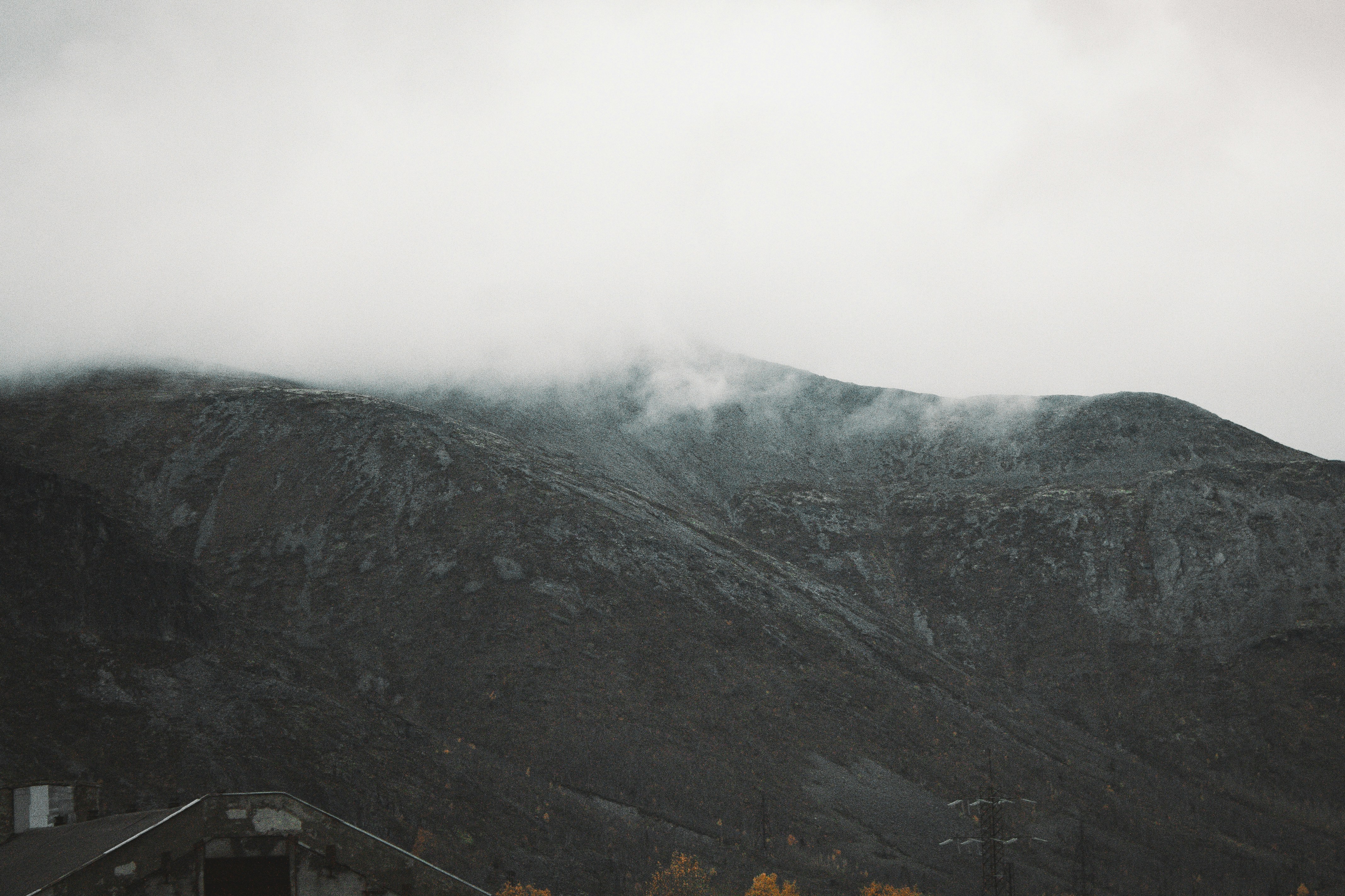 Photo by shavr
