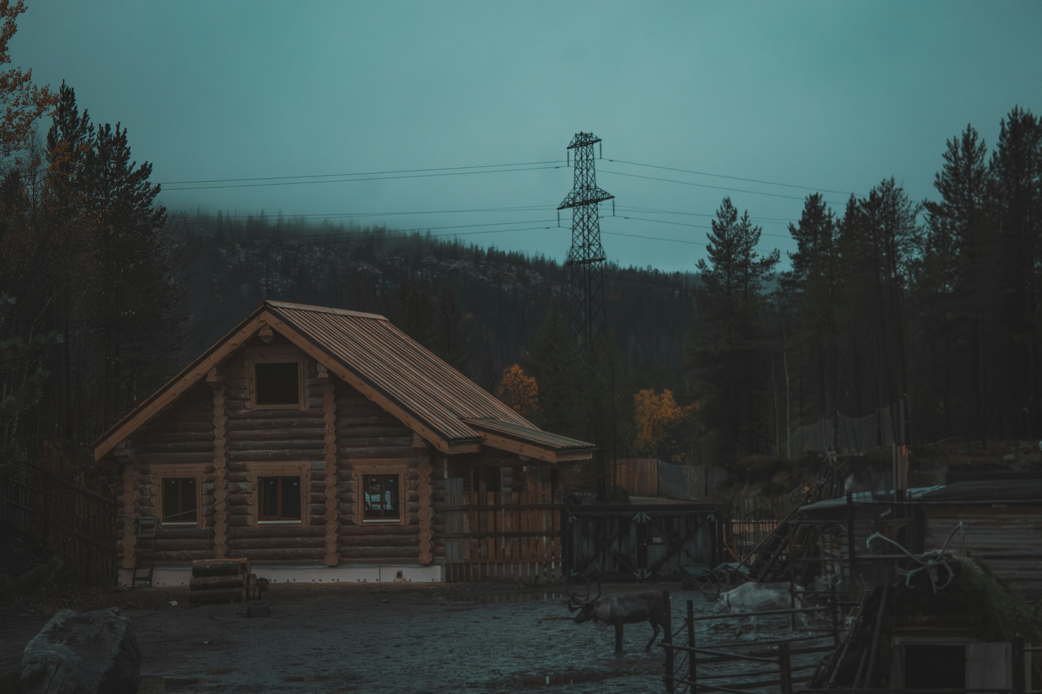 Wooden cabin in a foggy forest with power lines