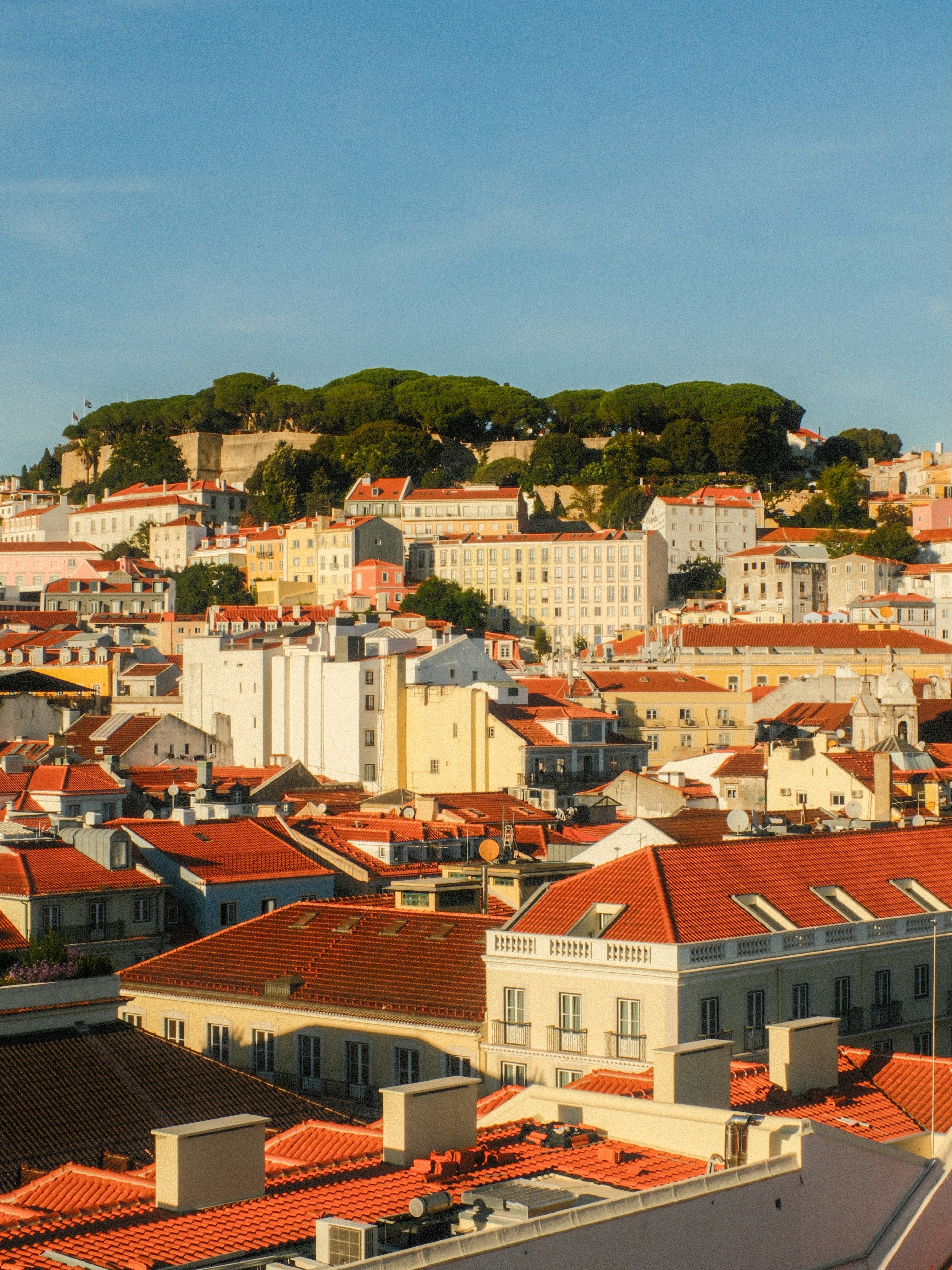 Photo by farnaz________