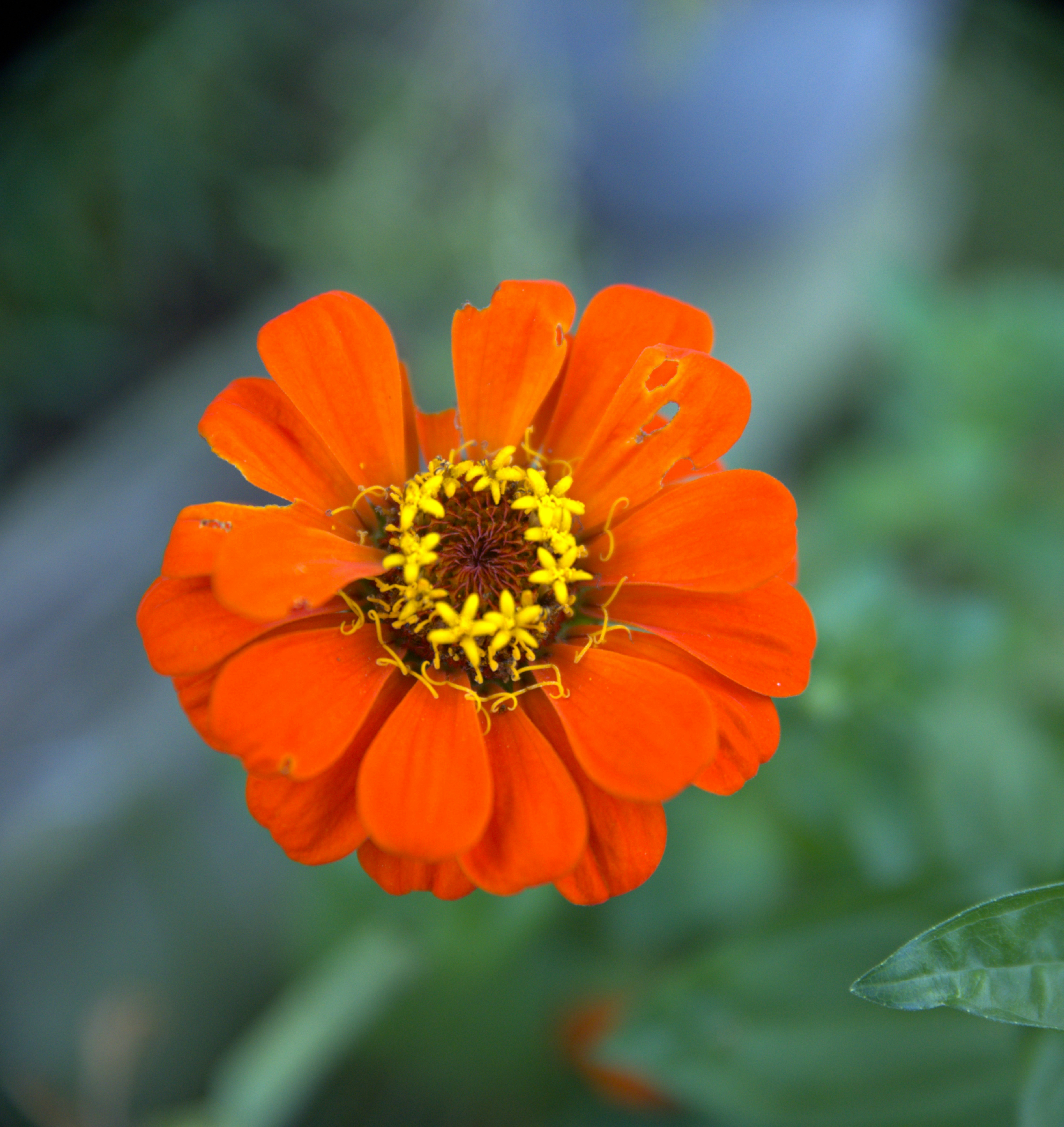 Photo by baybo7