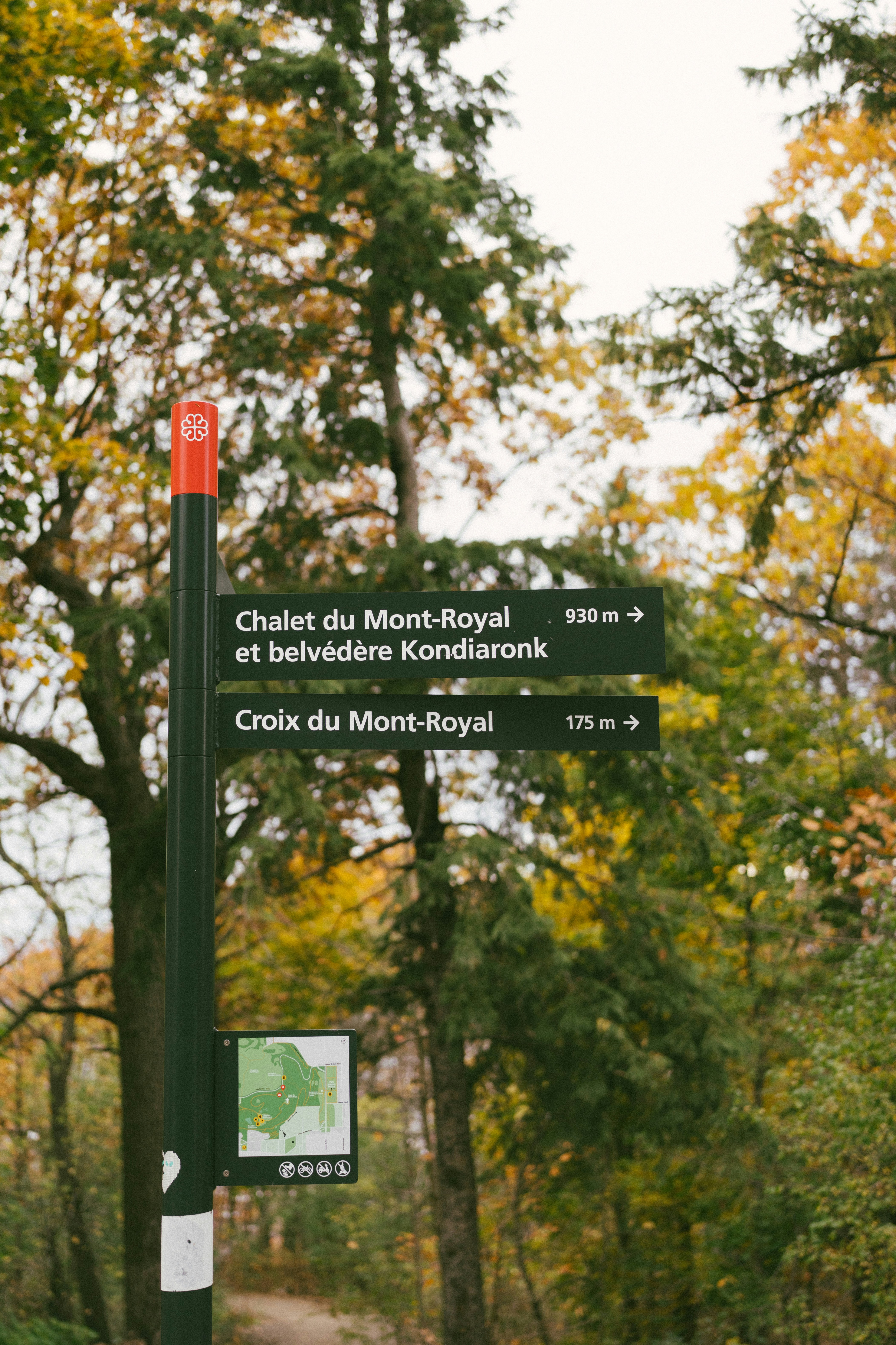 Photo by user90807060