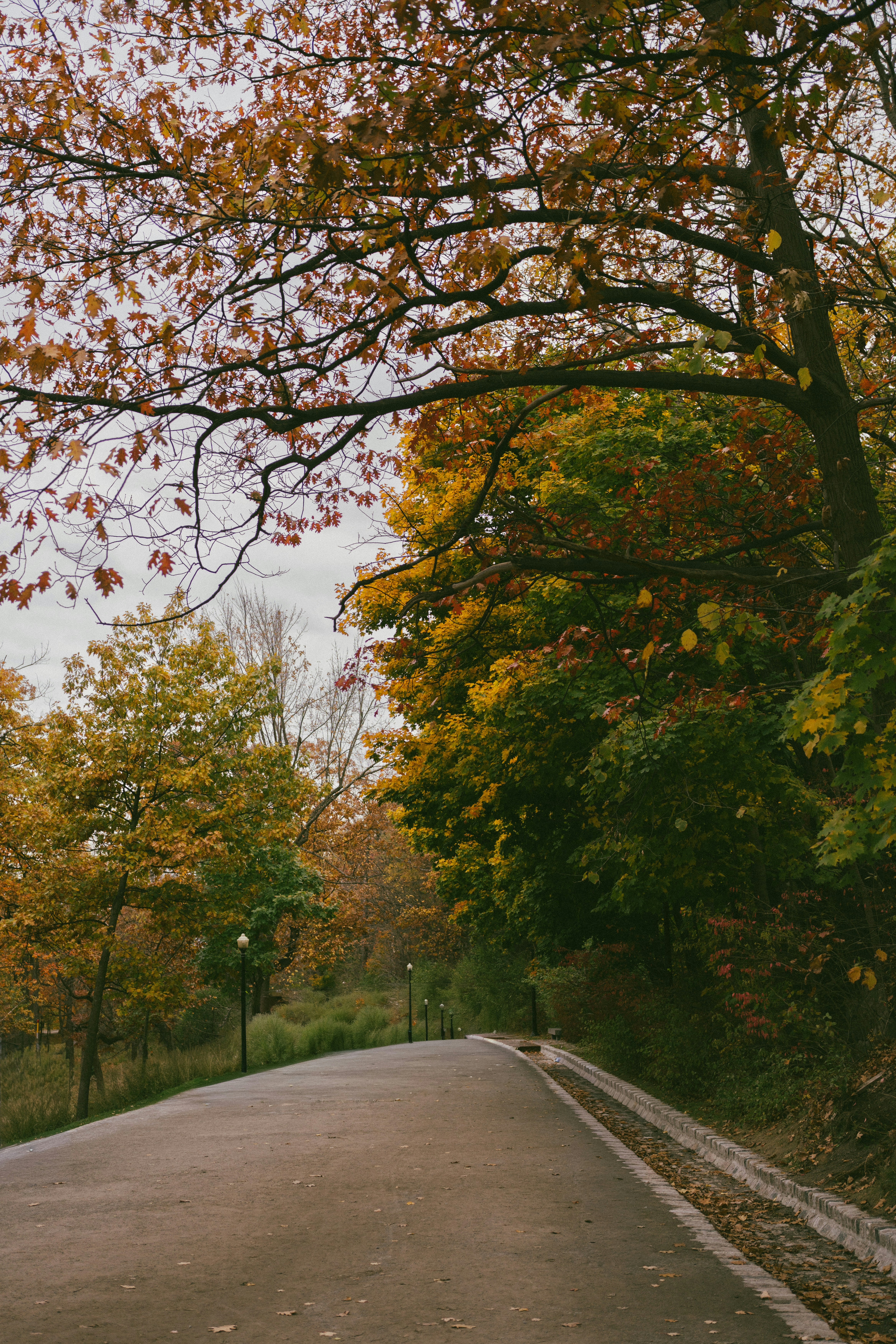 Photo by user90807060