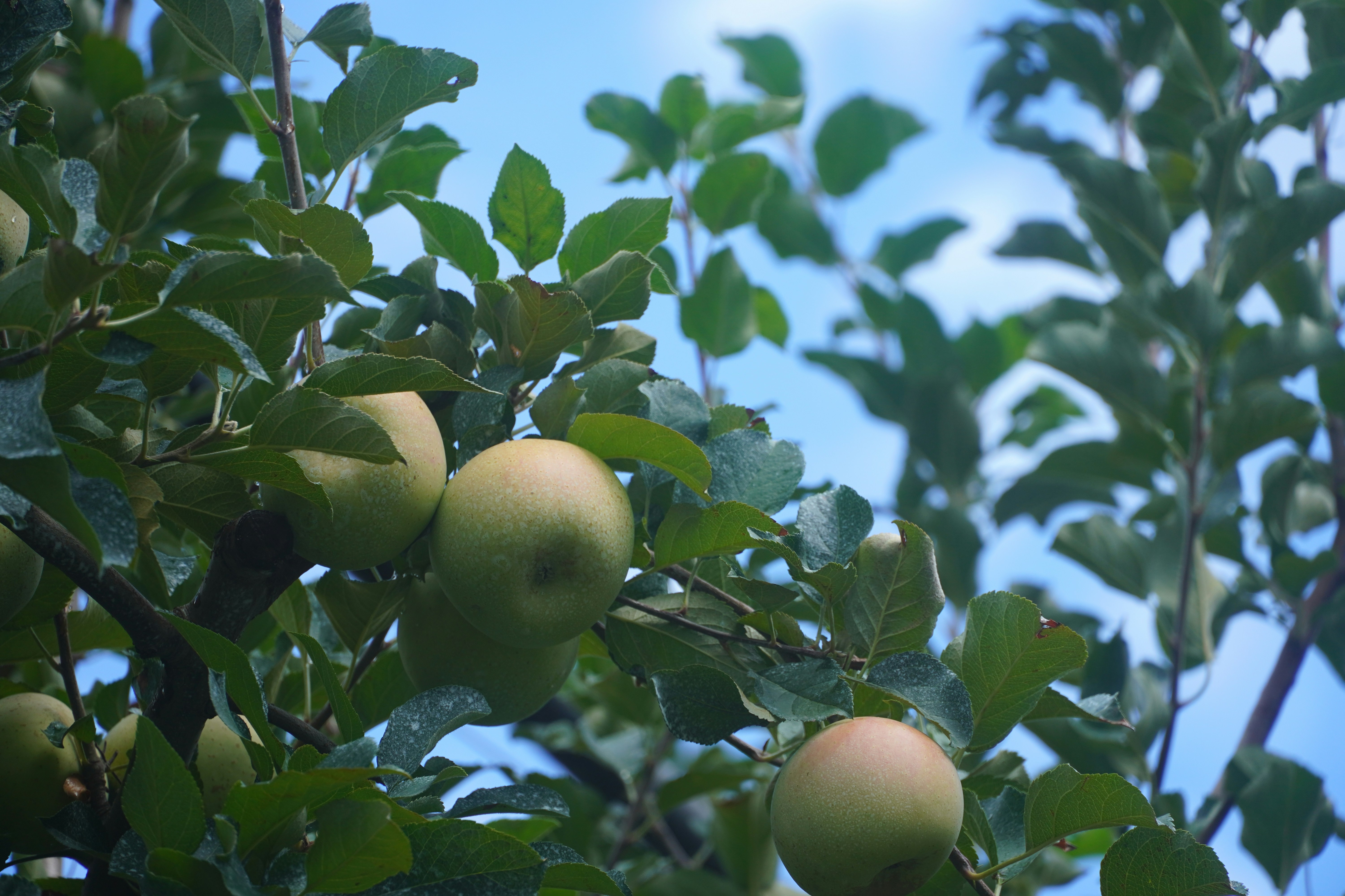 Photo by lifeinkorea