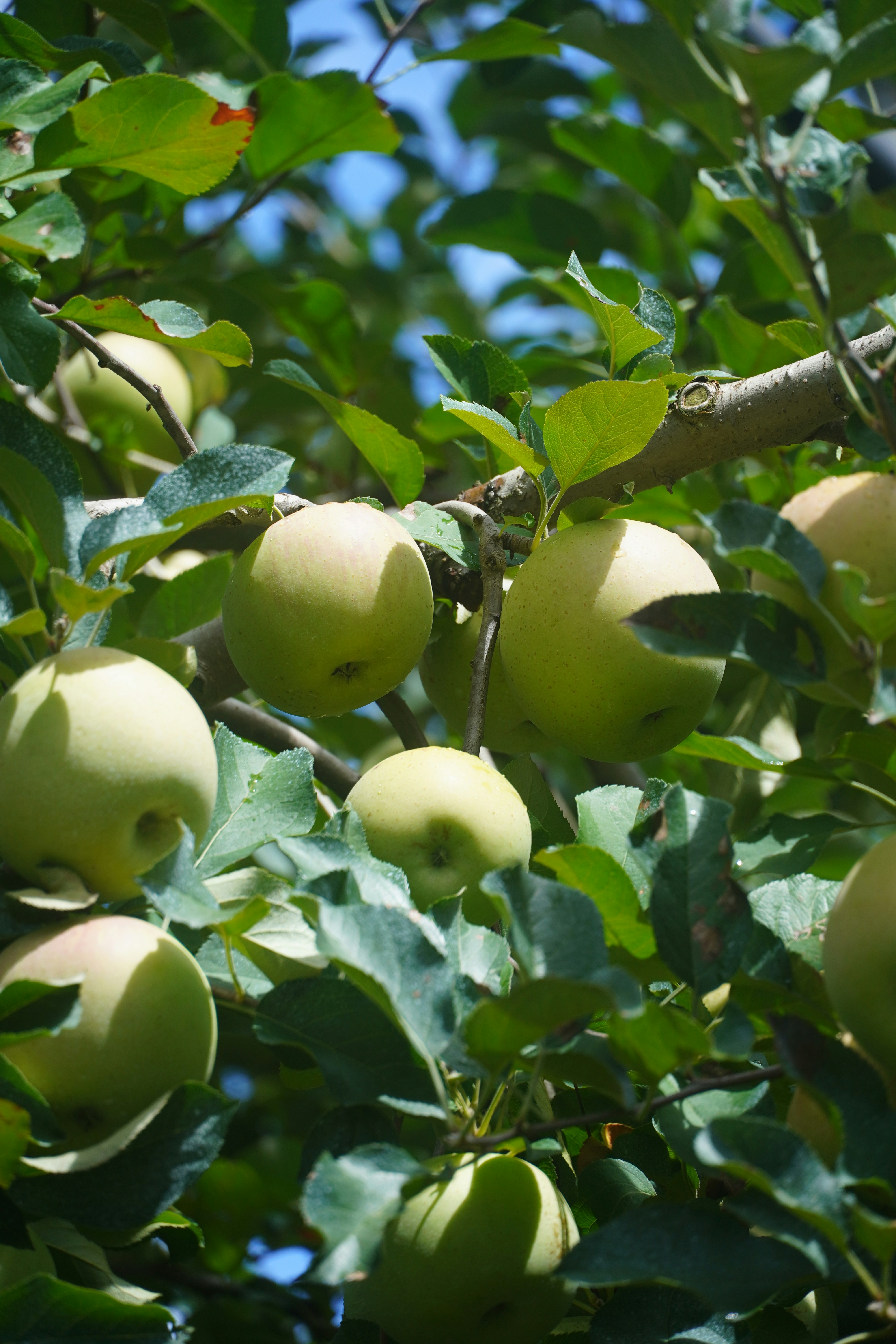 Photo by lifeinkorea