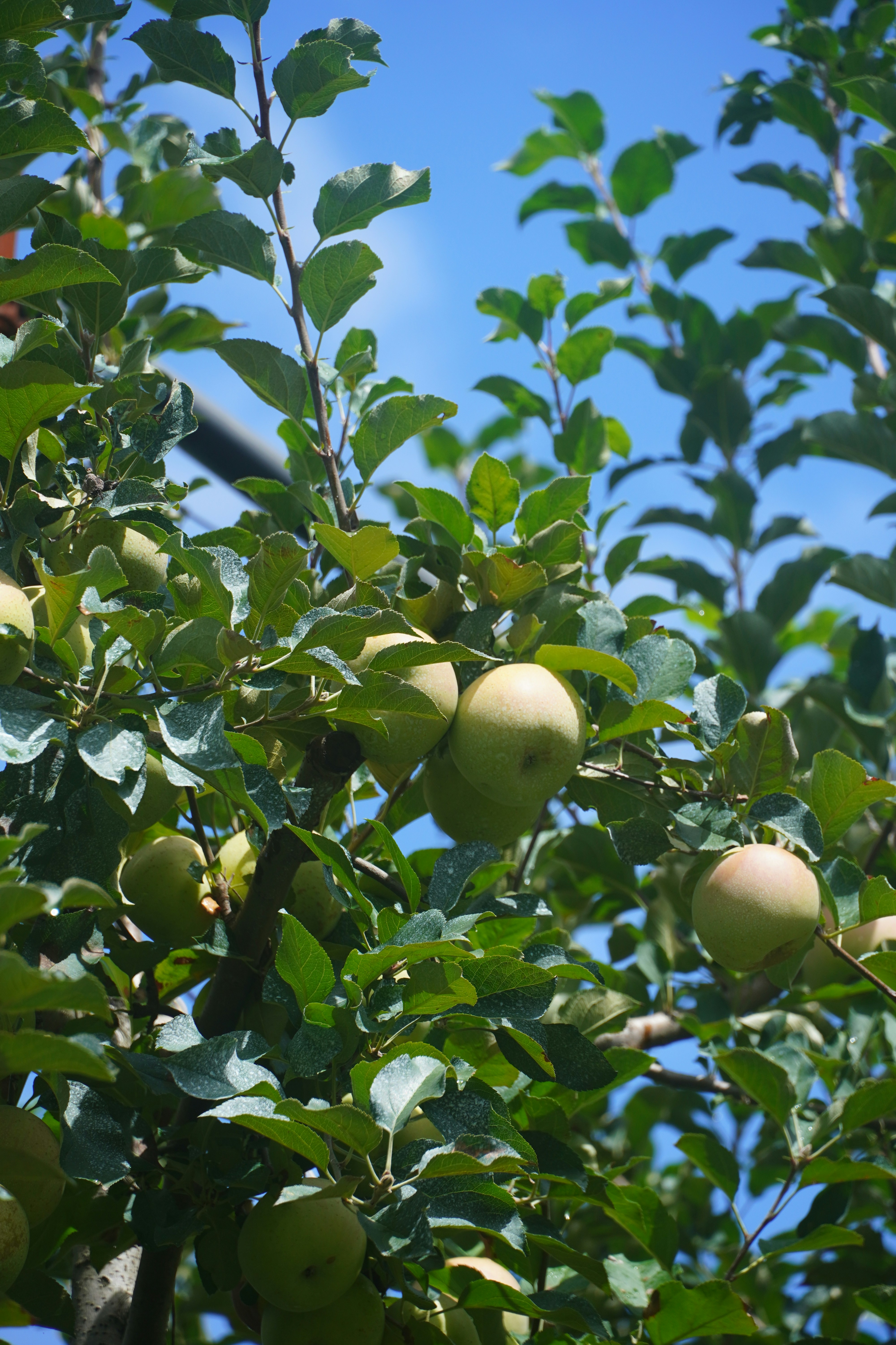 Photo by lifeinkorea