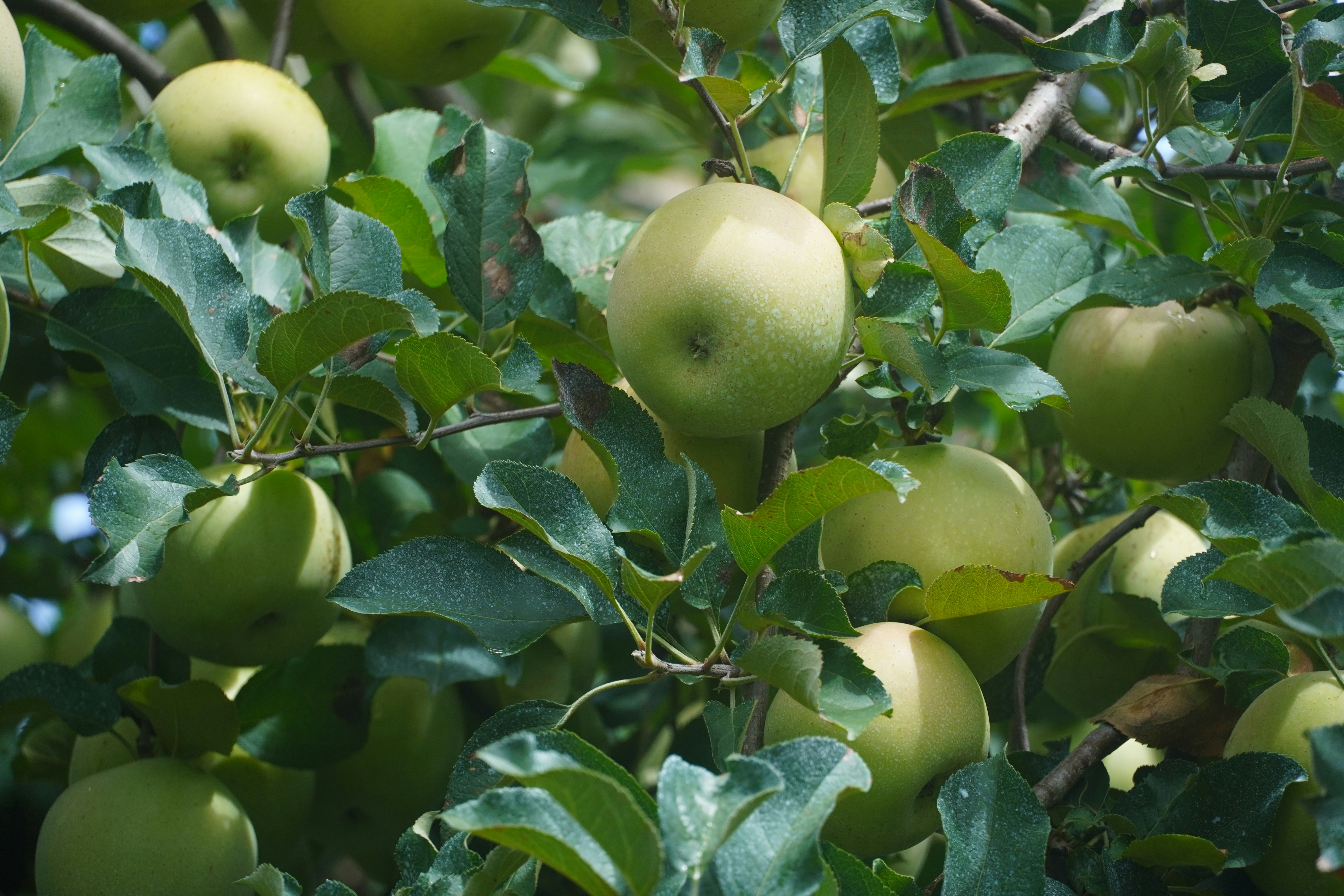 Photo by lifeinkorea