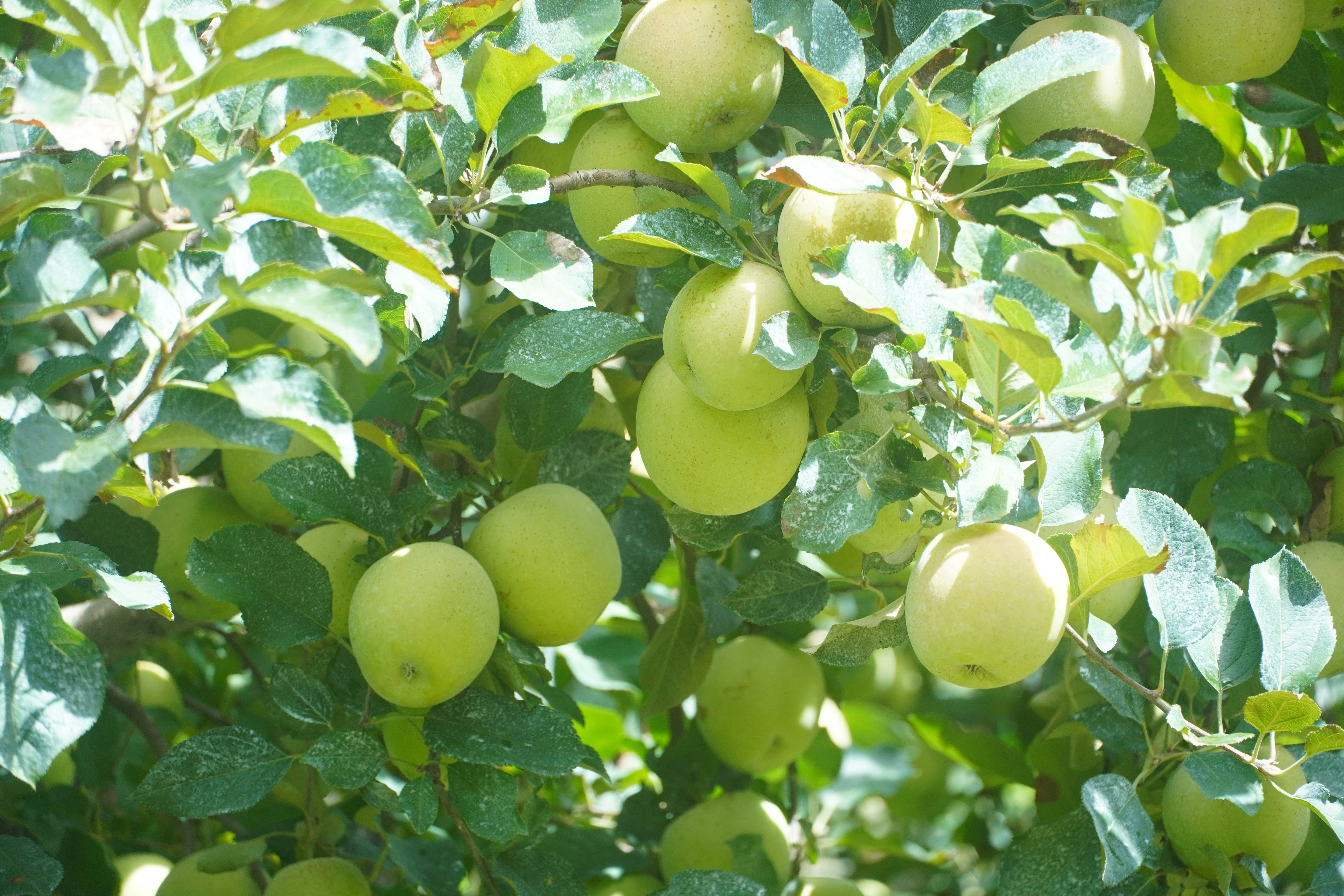 Photo by lifeinkorea