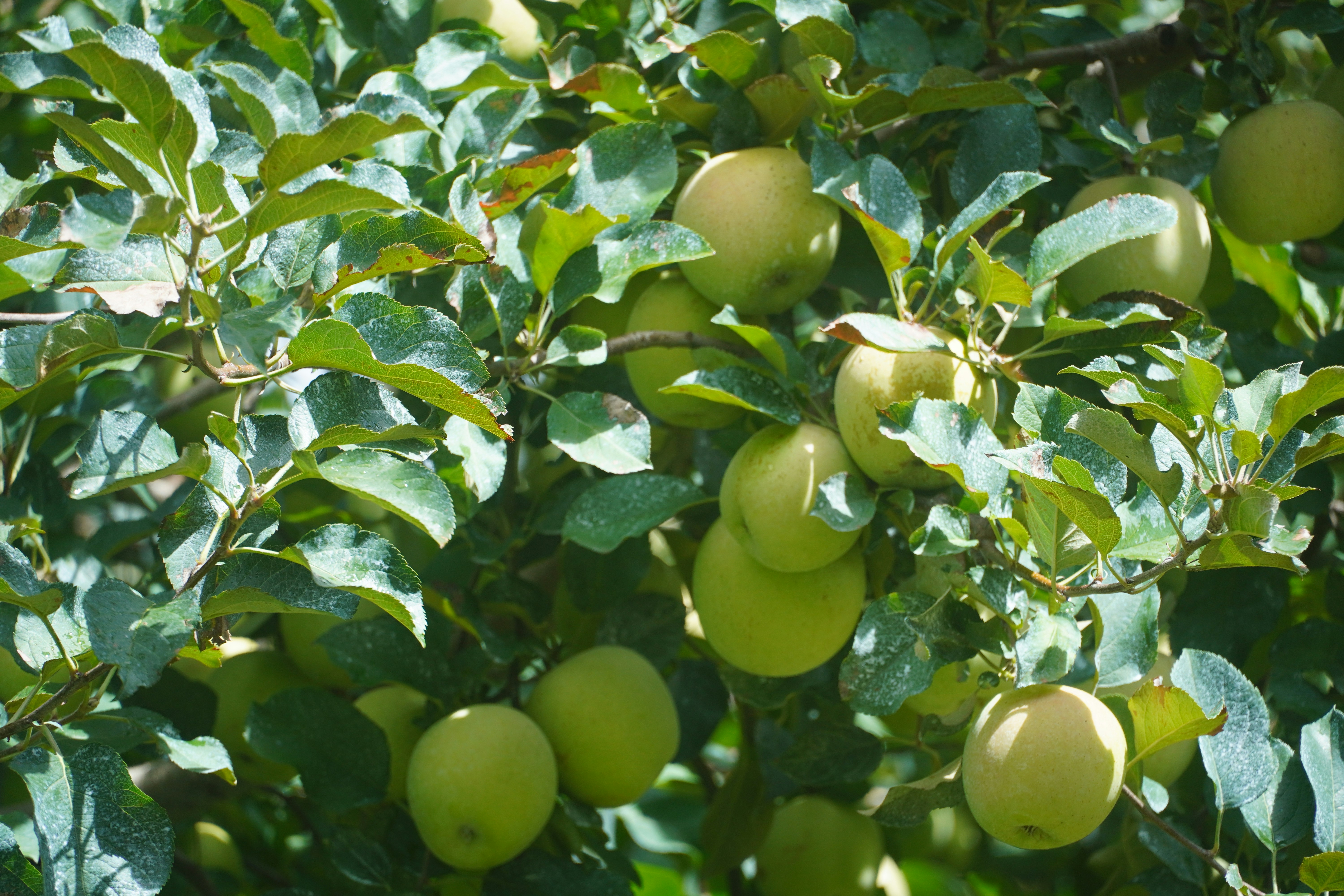 Photo by lifeinkorea