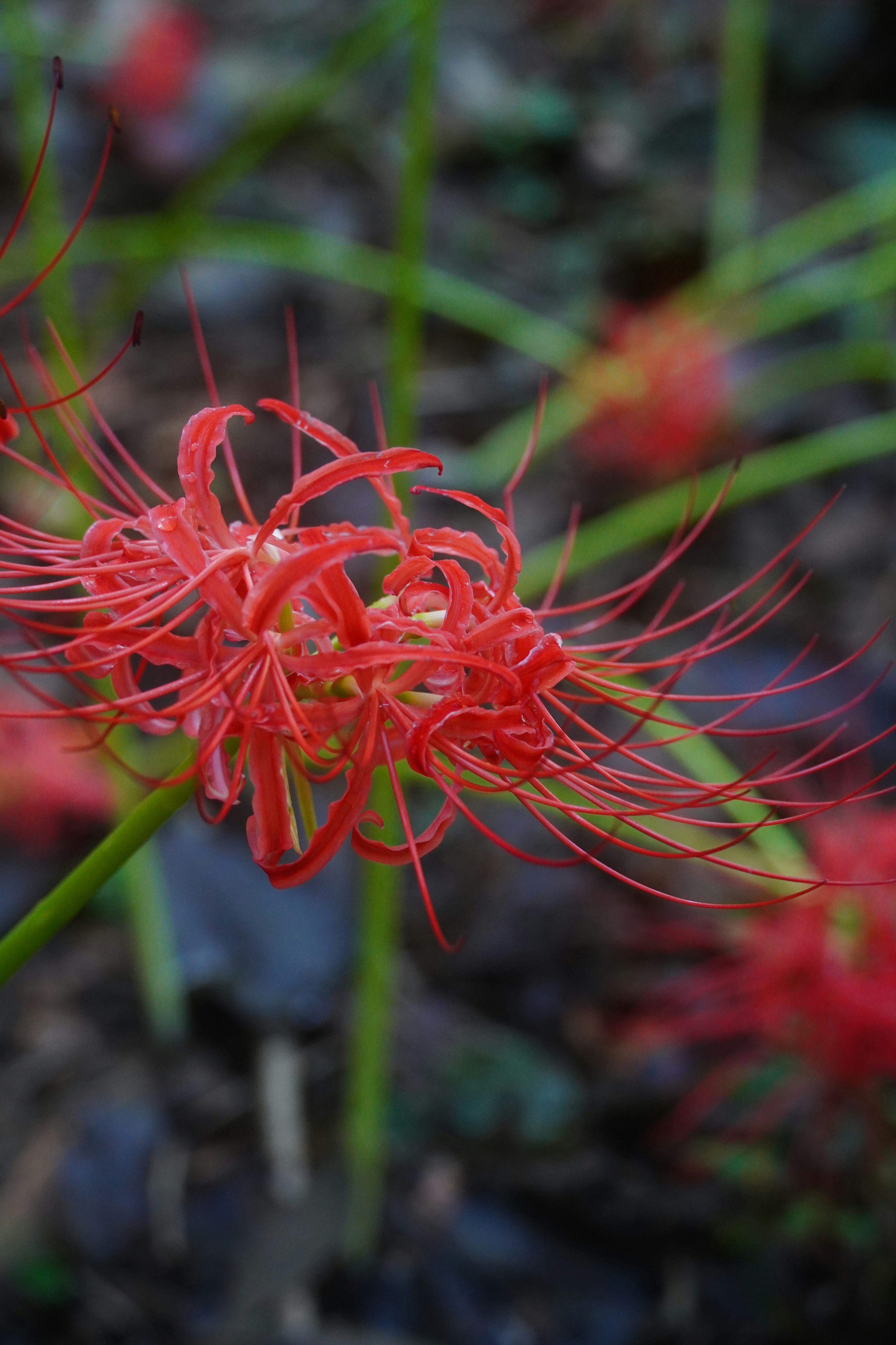 Photo by lifeinkorea