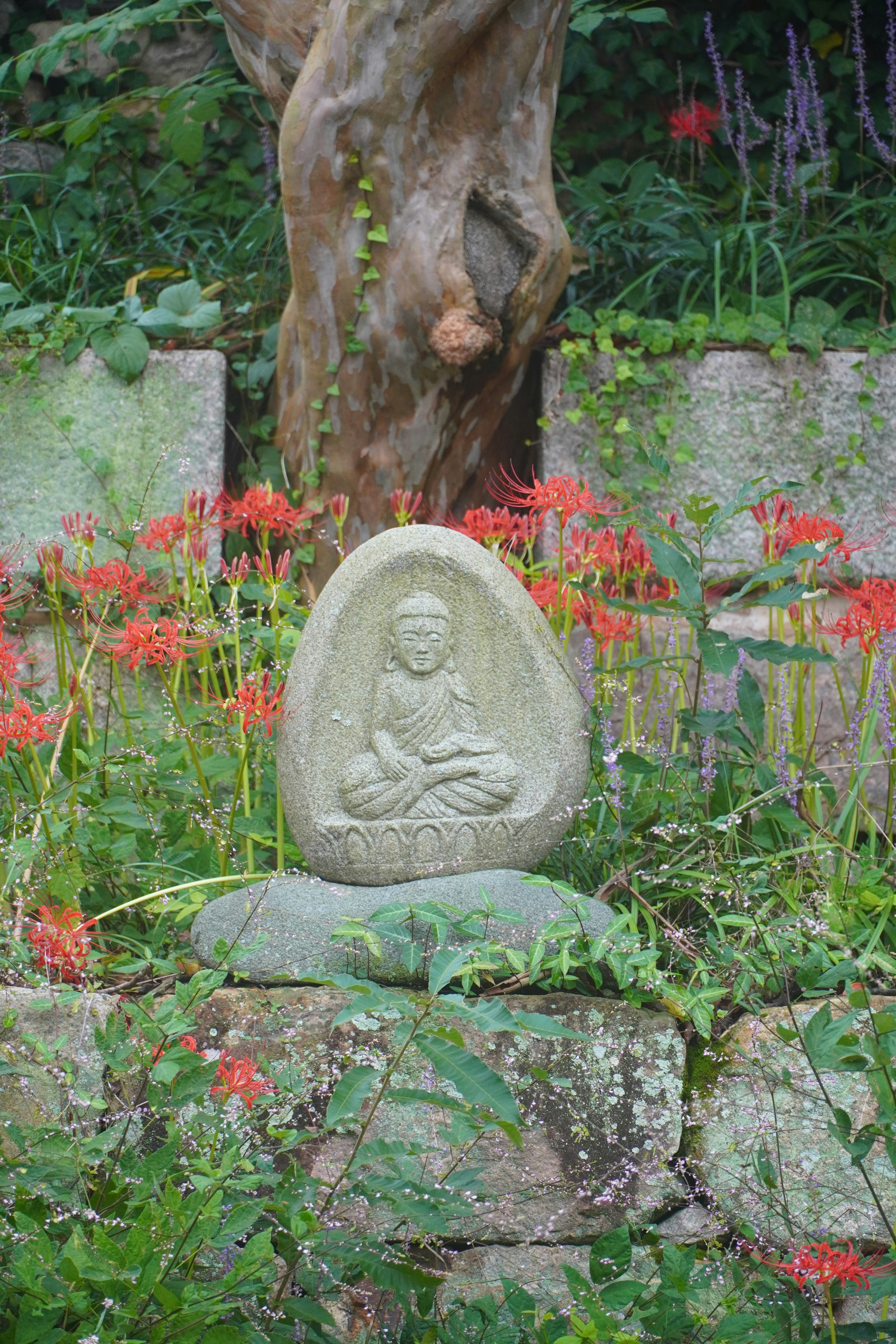 A gardener tending to a thriving lily garden