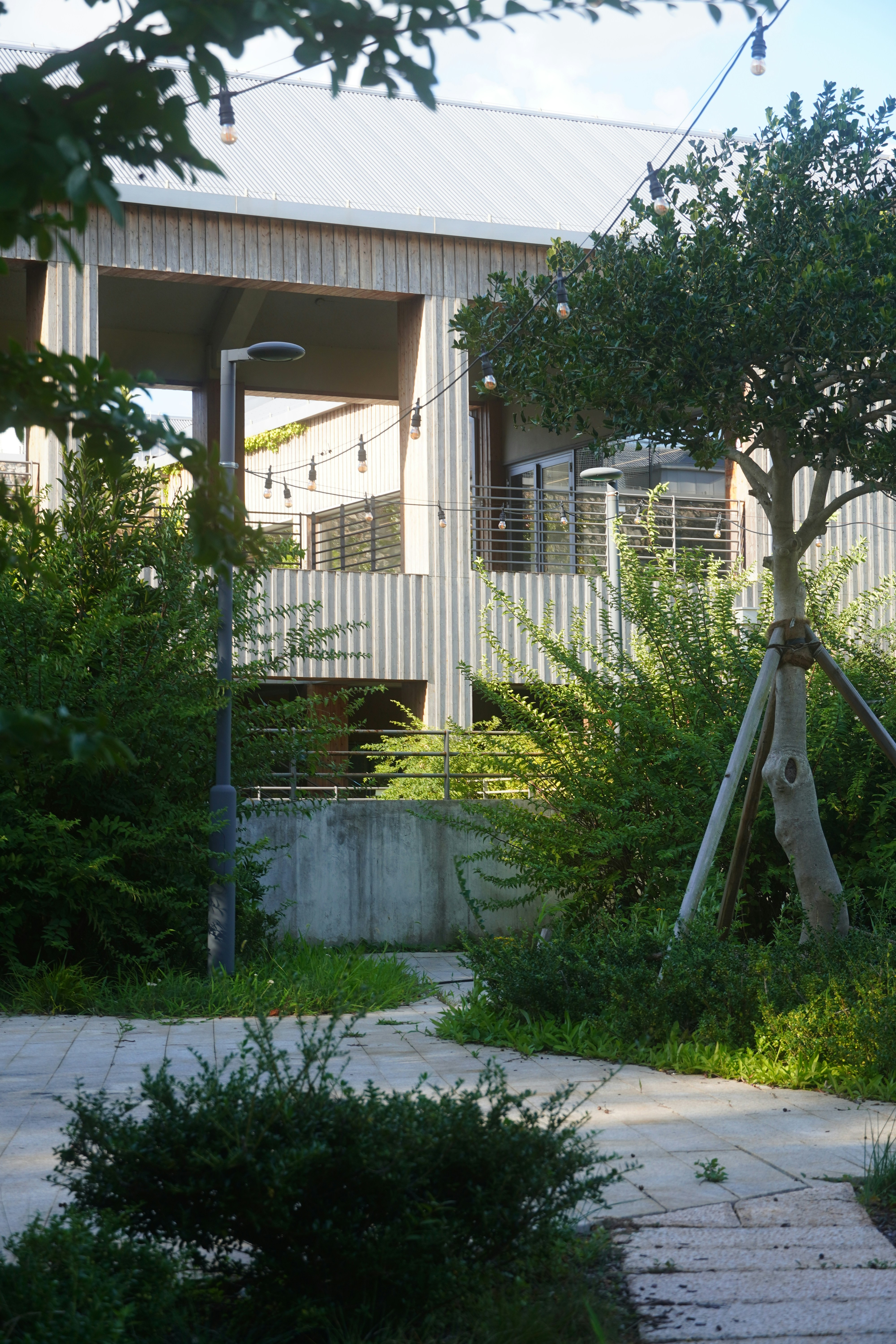 Photo by lifeinkorea