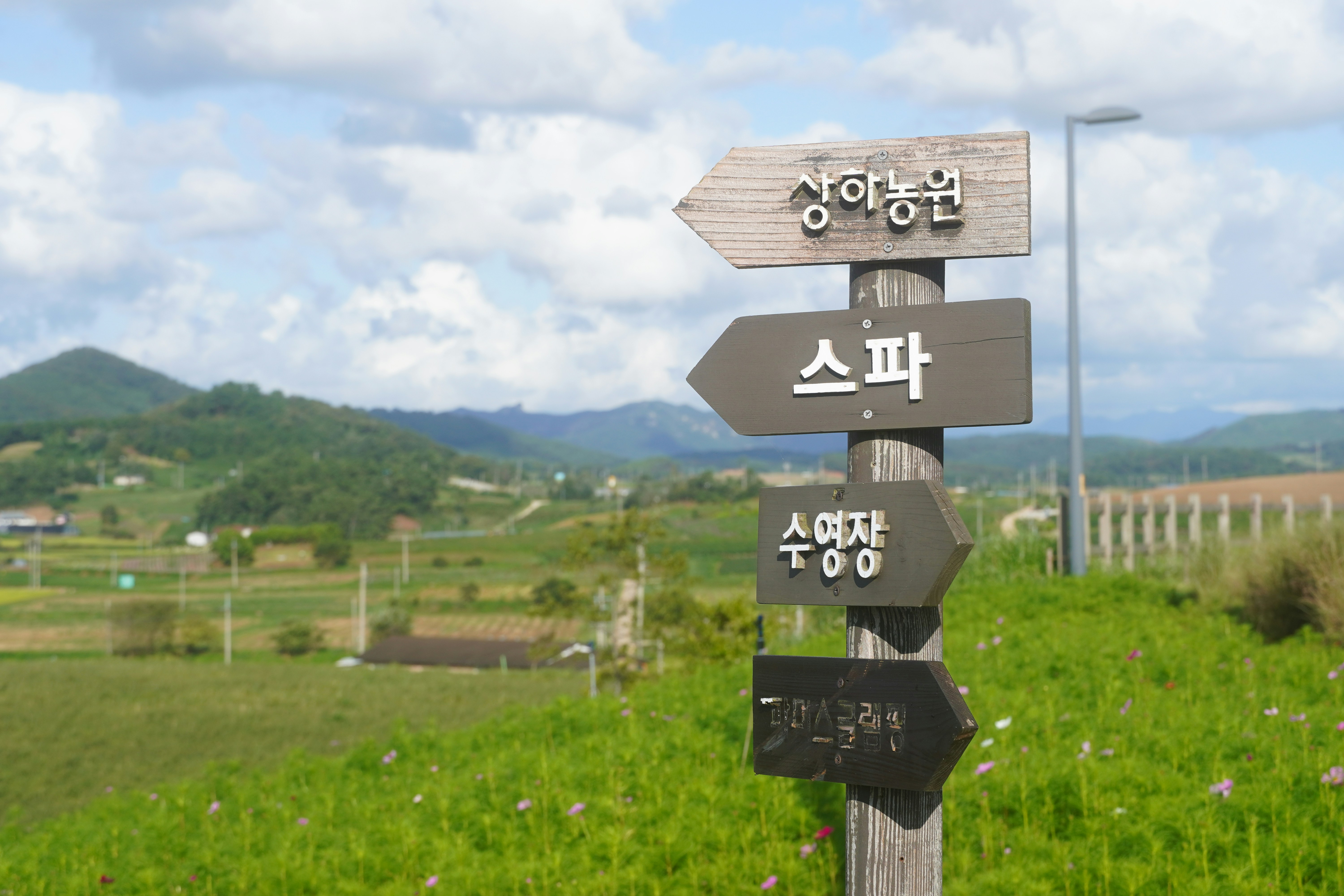 Wooden signpost with korean text in a rural landscape