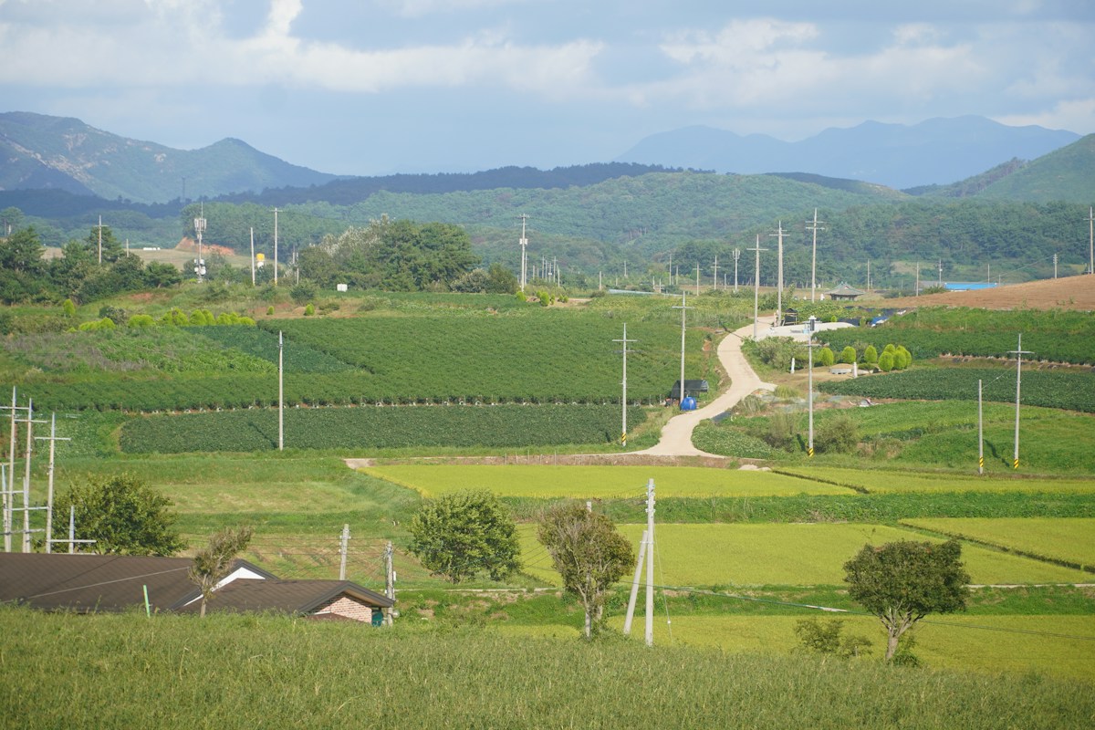 鄉間的田野與道路，遠方是連綿的山稜線