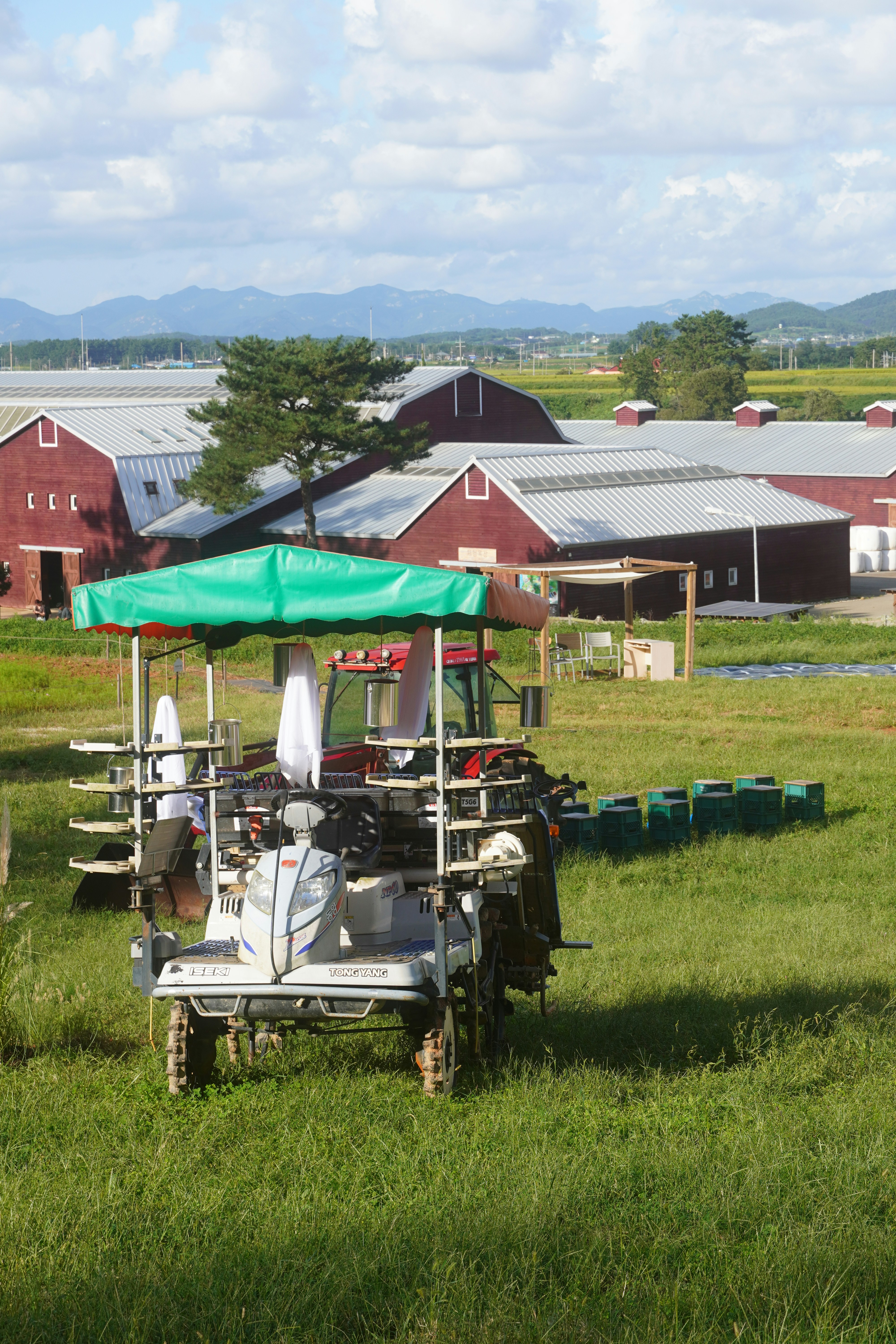 Where to Find Authentic Food Experiences