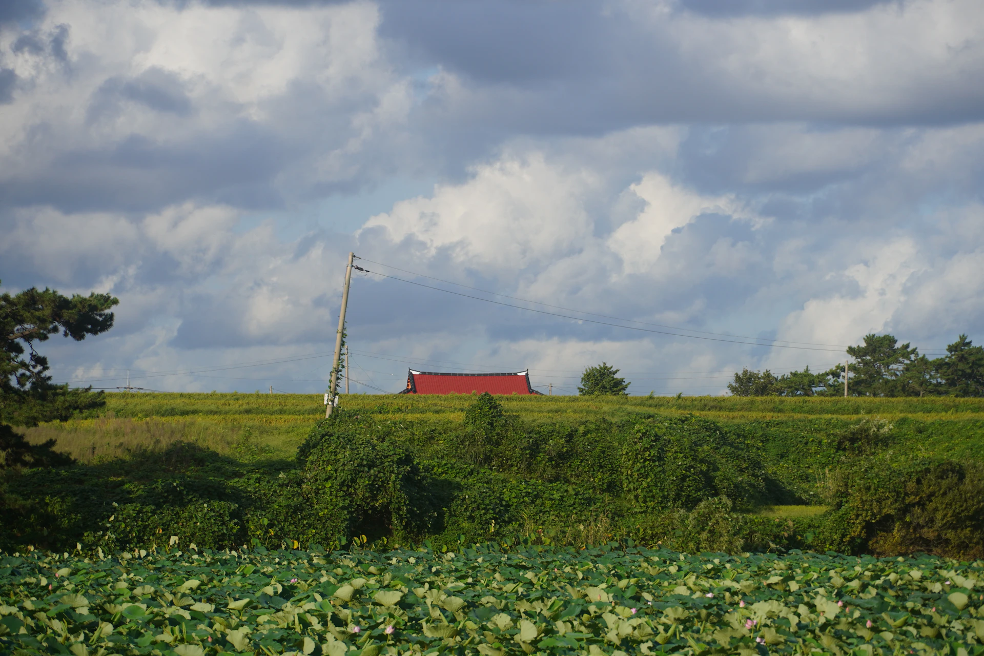 Red roofed building in a green field under clouds