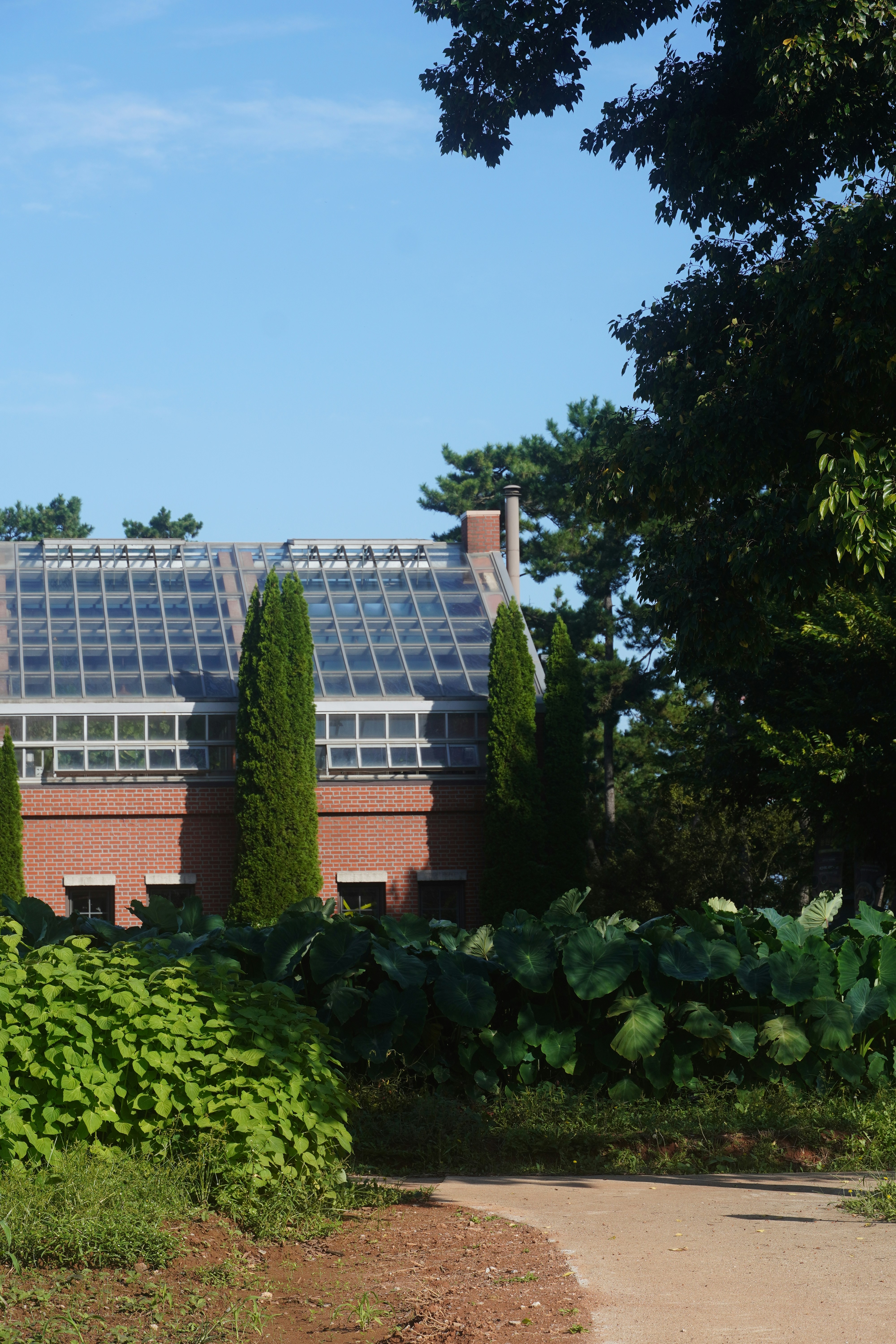 Photo by lifeinkorea