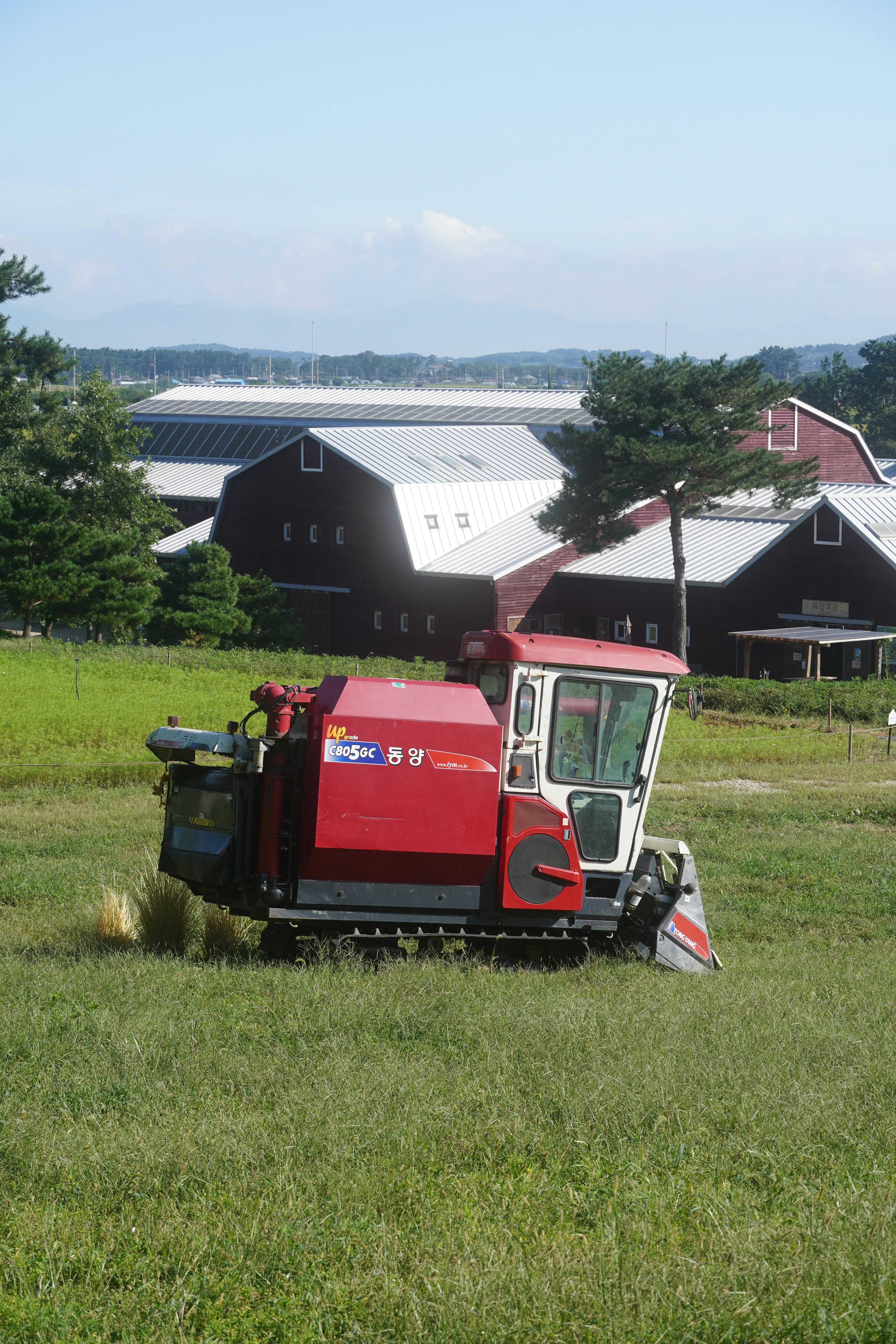 Red combine harvester in a grassy field with barns.