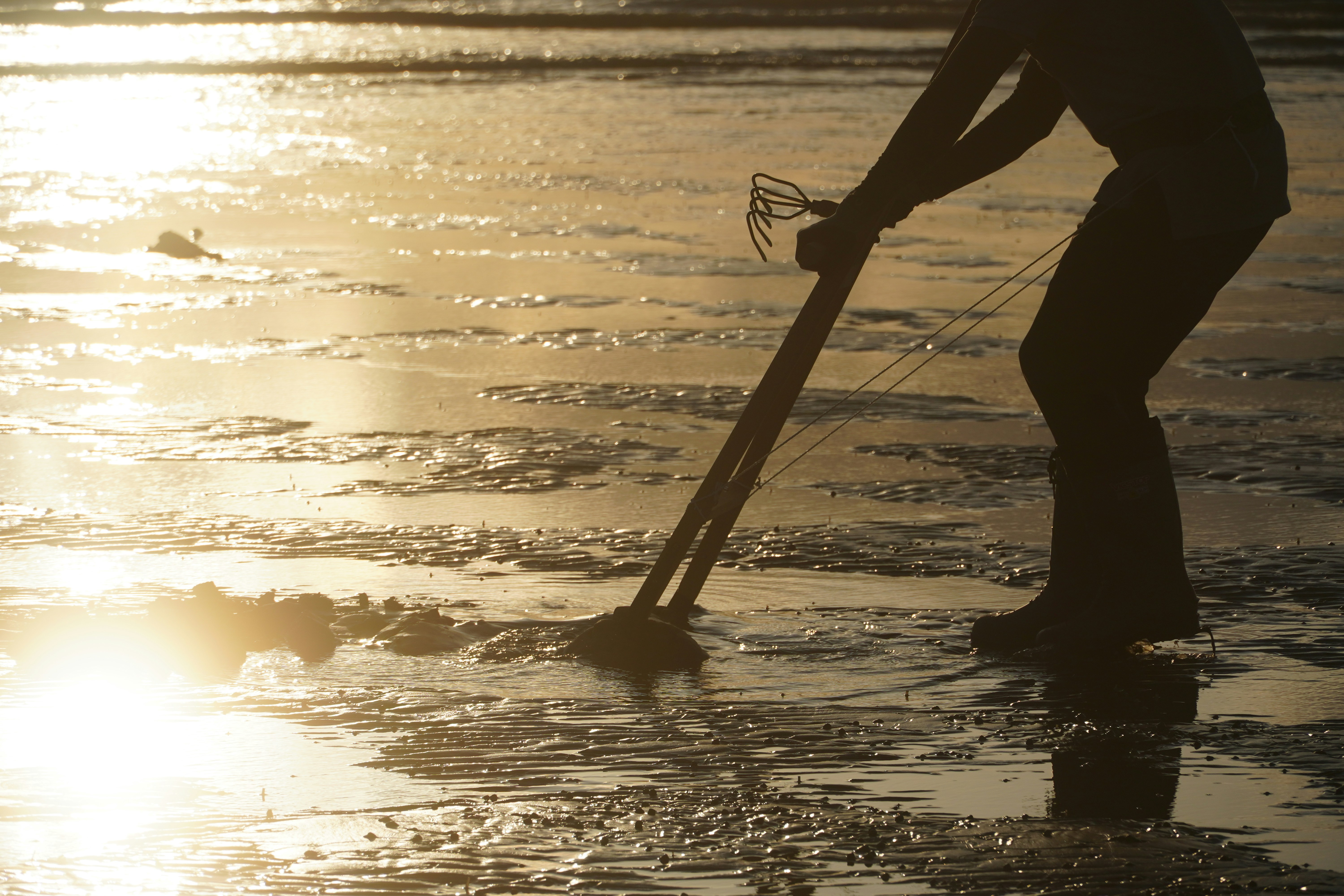 Silhouette of a person raking the ground at sunset