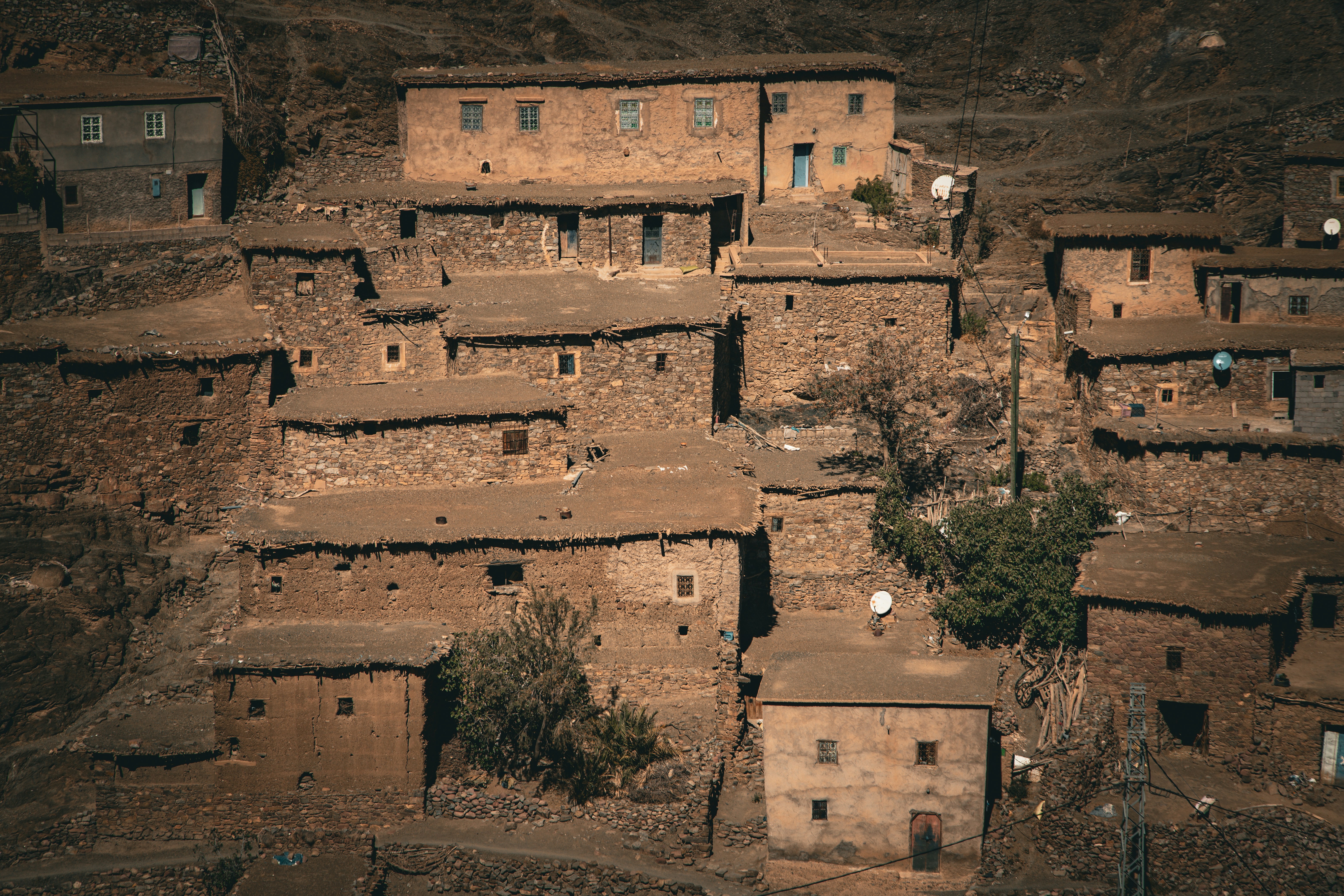 Algorithmic Displacement: Is Generative AI Erasing the Competitive Advantage of Experience?