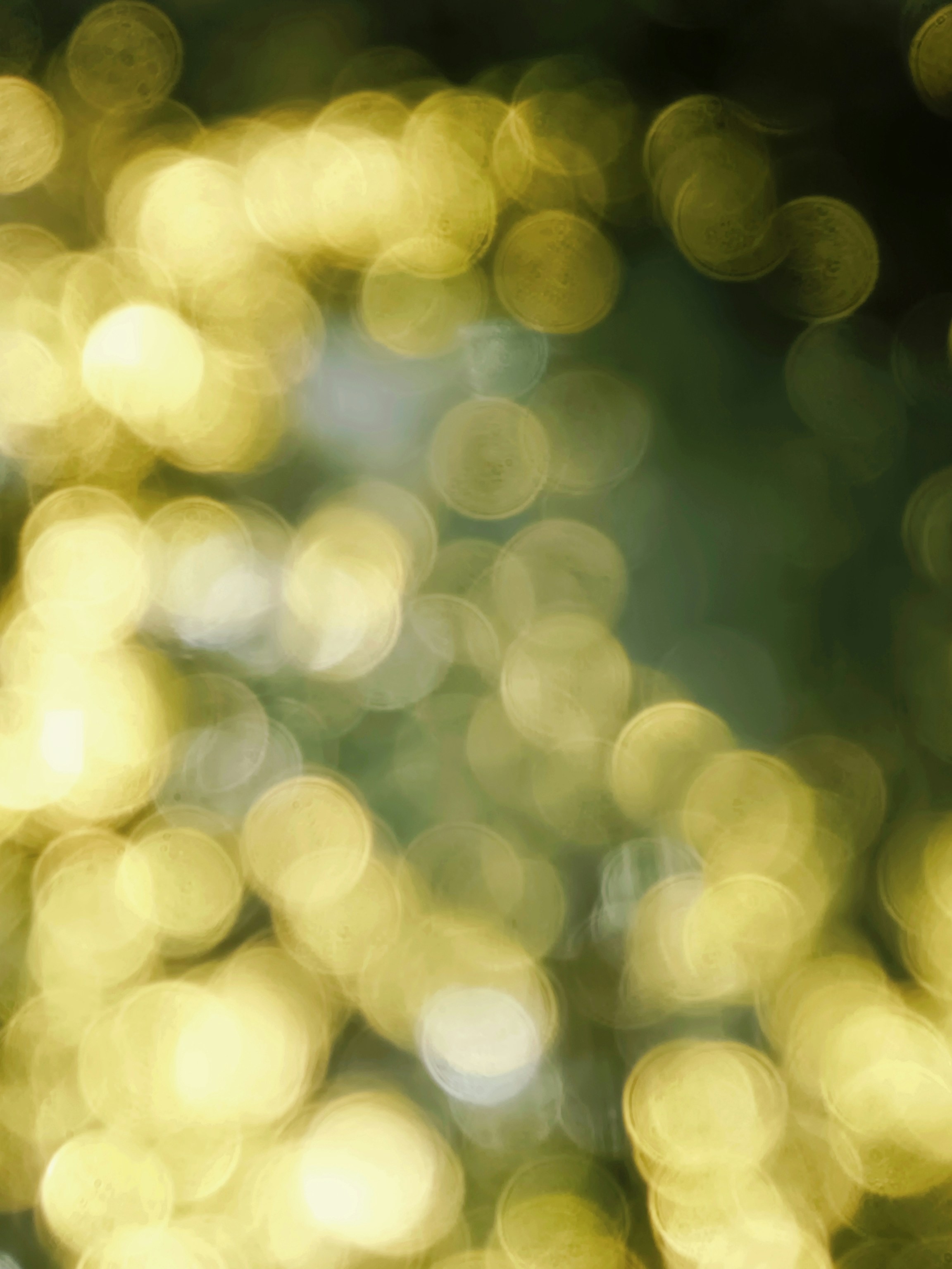 Abstract background, soft light, ilustrasi artikel Conquer the Lens: Your Guide to Feeling Confident on Camera 7