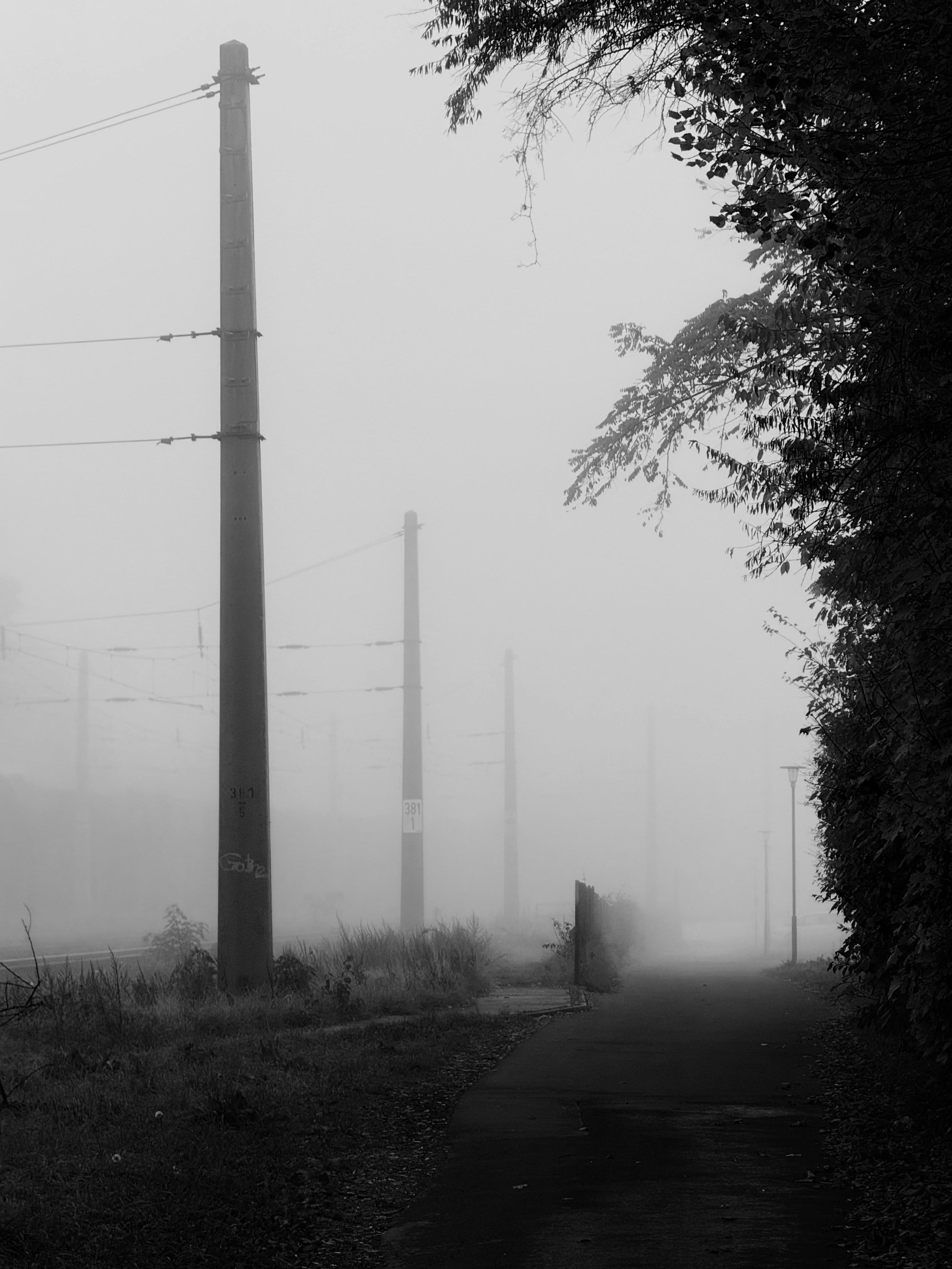 Photo by chestnuttree