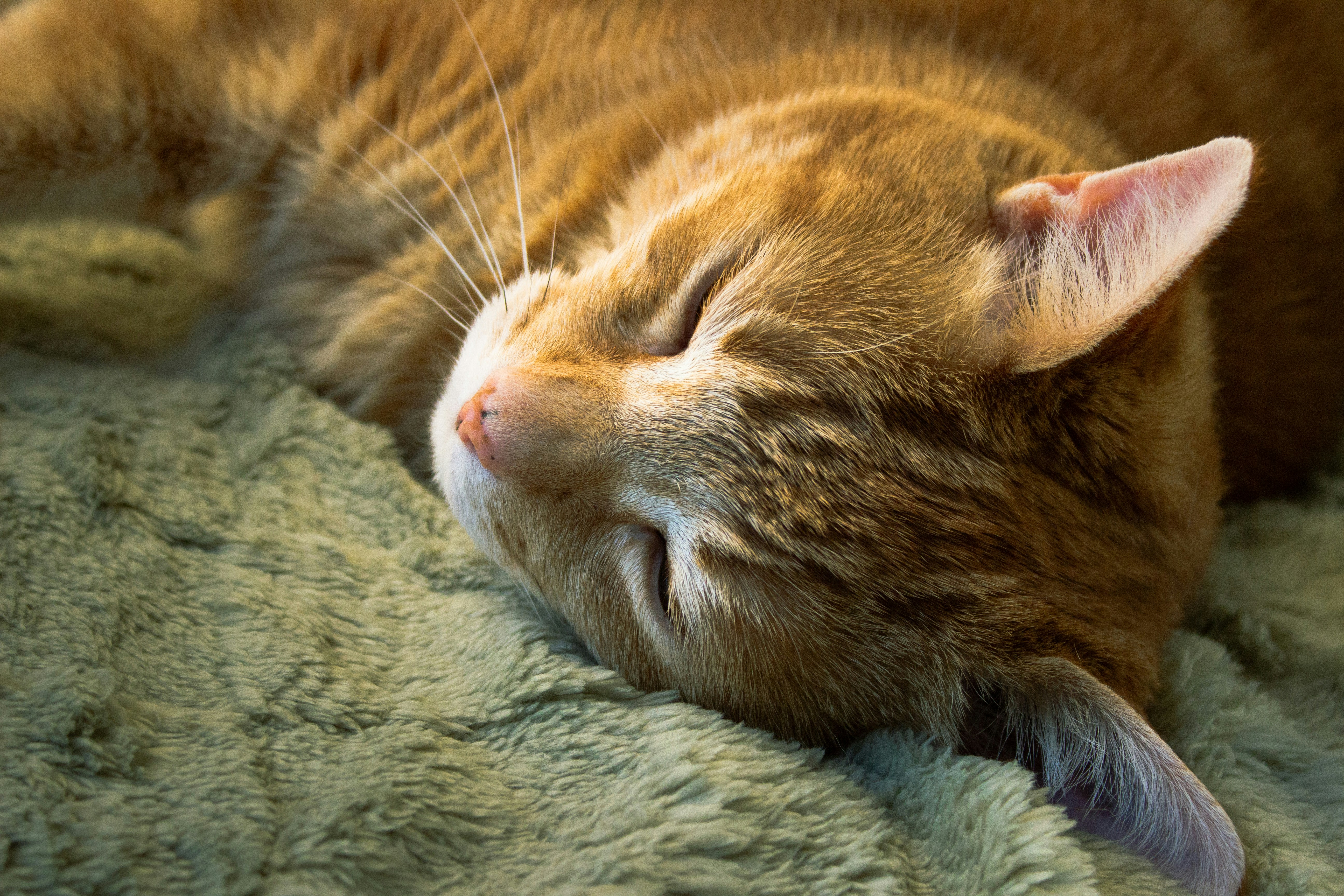 Photo by felix_shoots