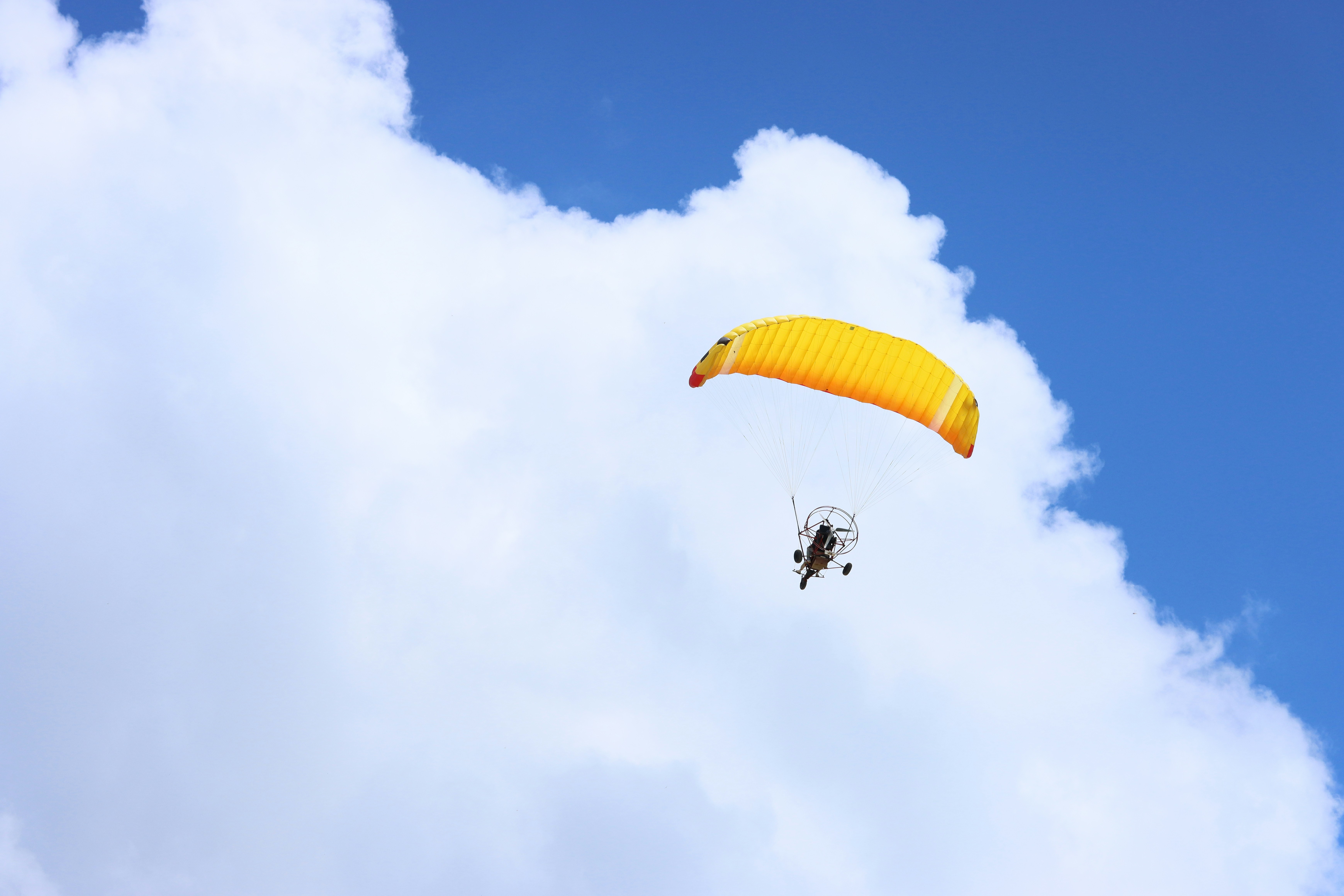 Photo by leoearthancha