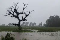 The Best 3-Day Itinerary for Bharuch: How to Make the Most of Every Hour