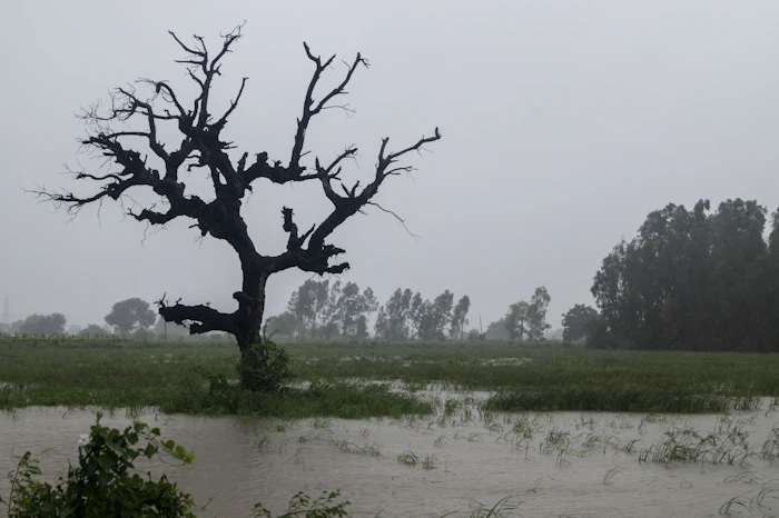 The Best 3-Day Itinerary for Bharuch: How to Make the Most of Every Hour