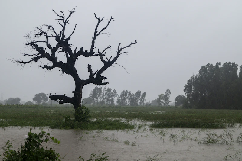 The Best 3-Day Itinerary for Bharuch: How to Make the Most of Every Hour