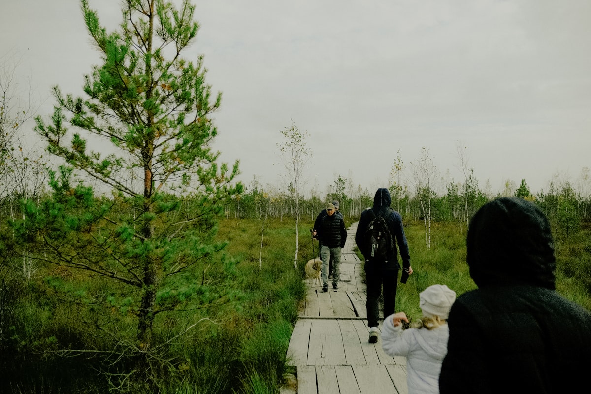 People walking on wooden path through marsh