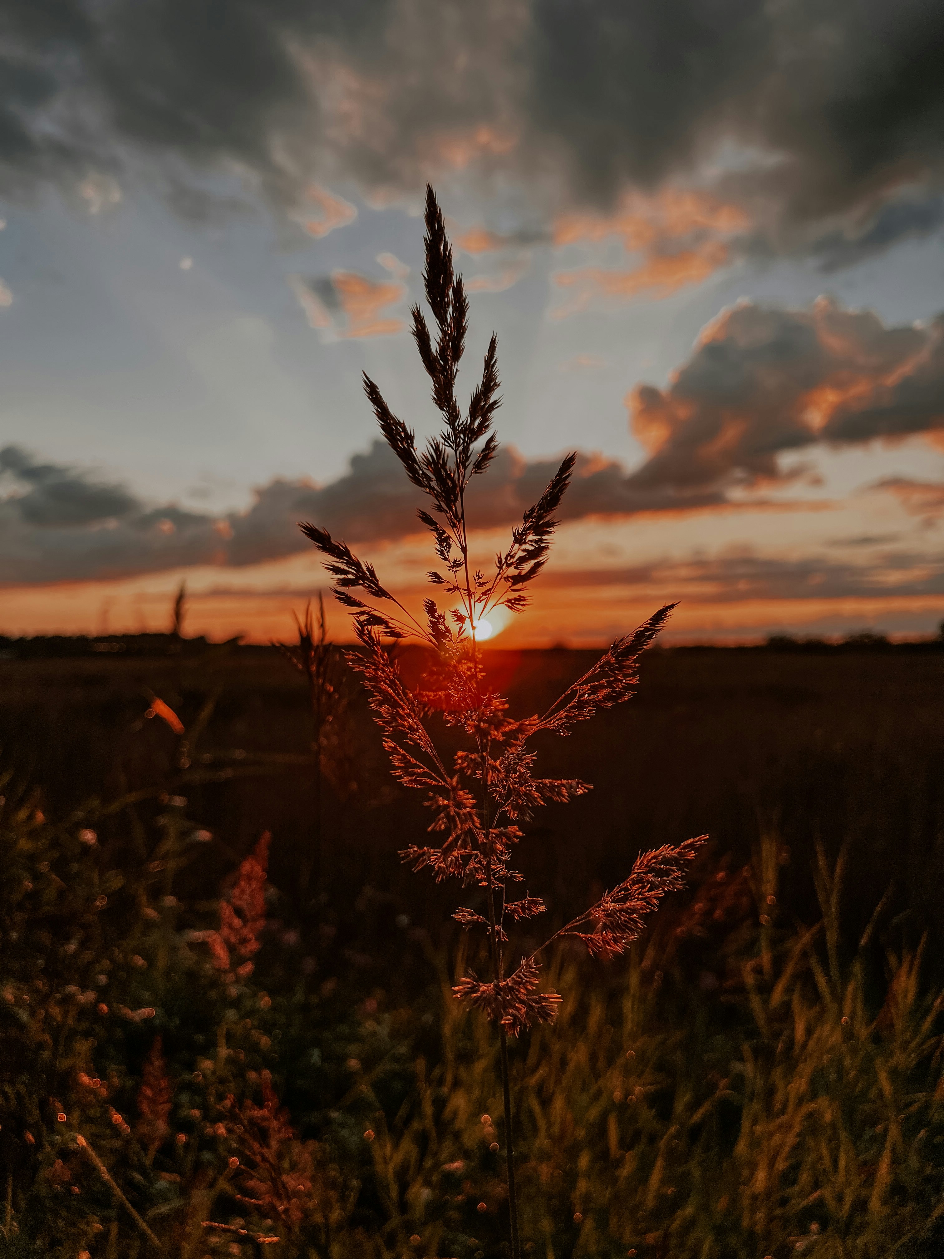 Photo by tsariovaanna