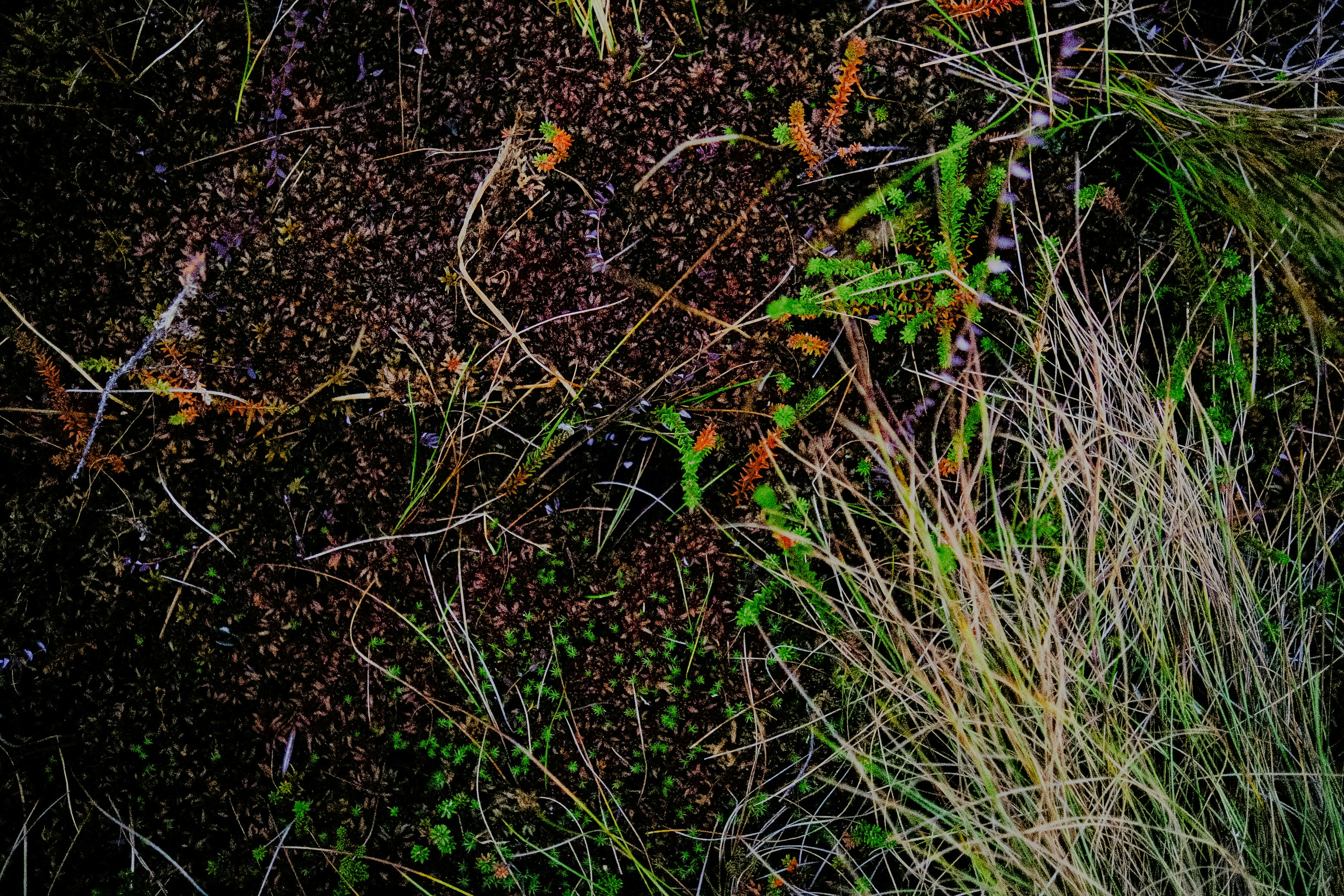 Photo by potokvarte