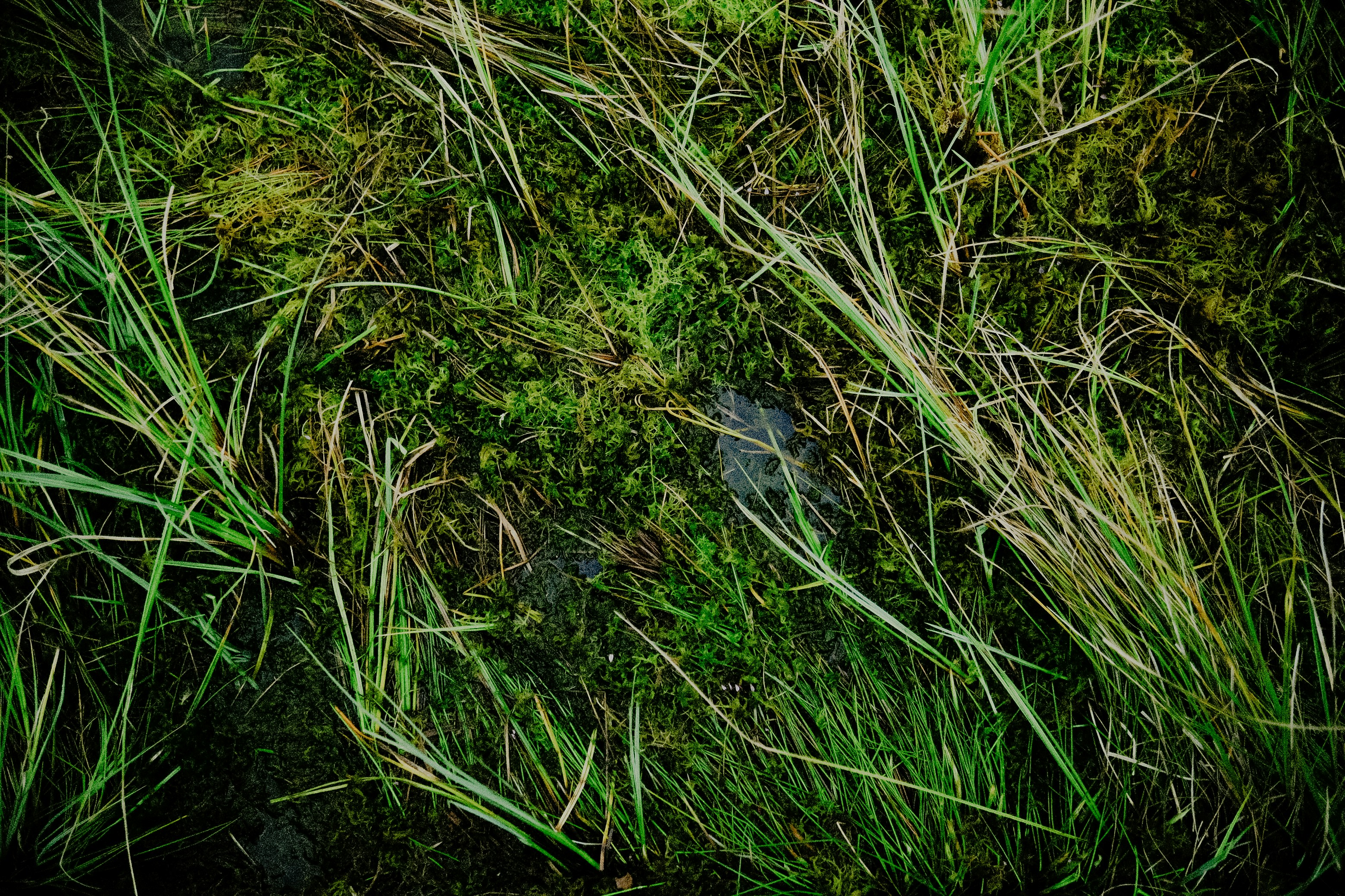 Photo by potokvarte