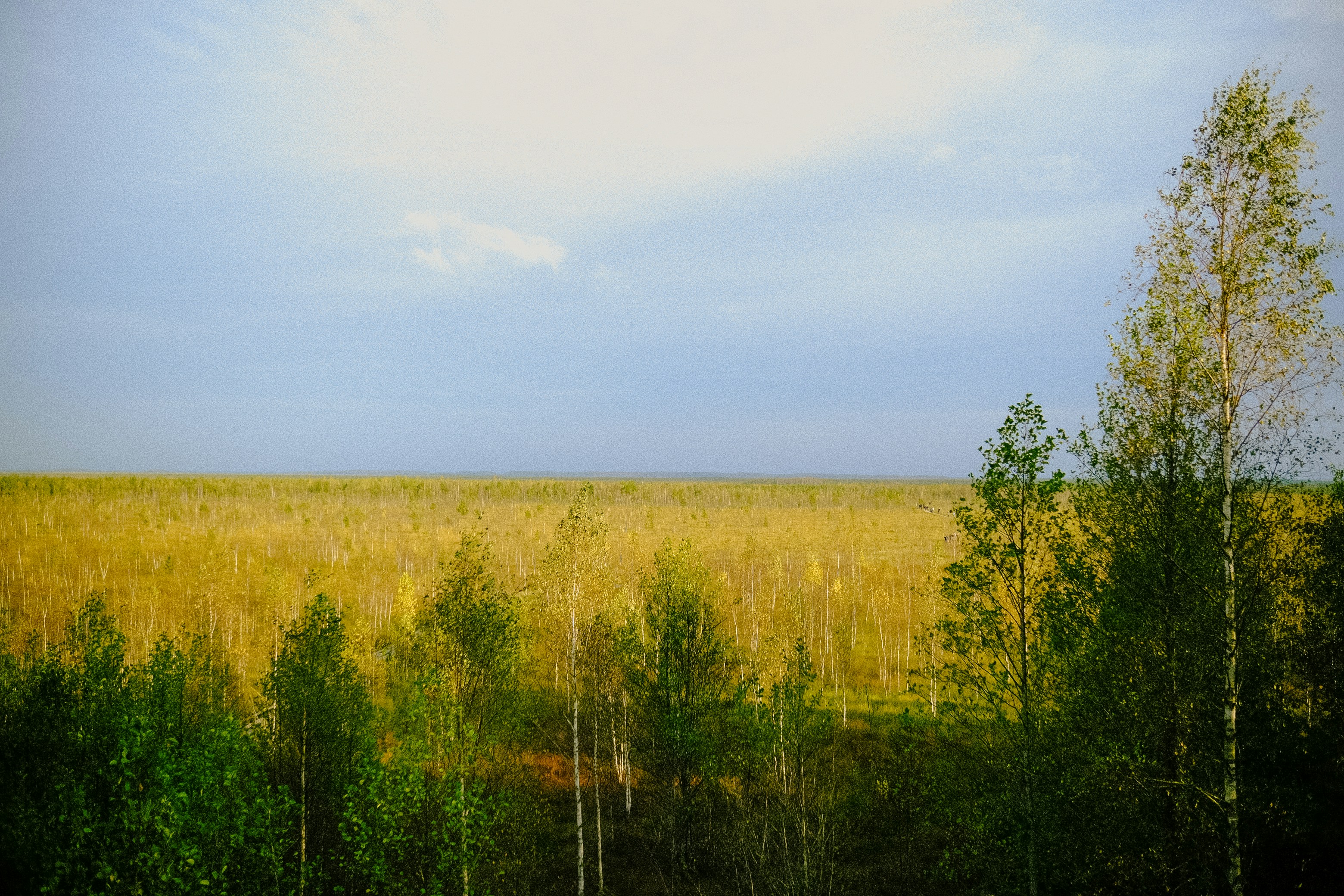 Krasnoyarsk, Russia (Stolby Nature Reserve) - None