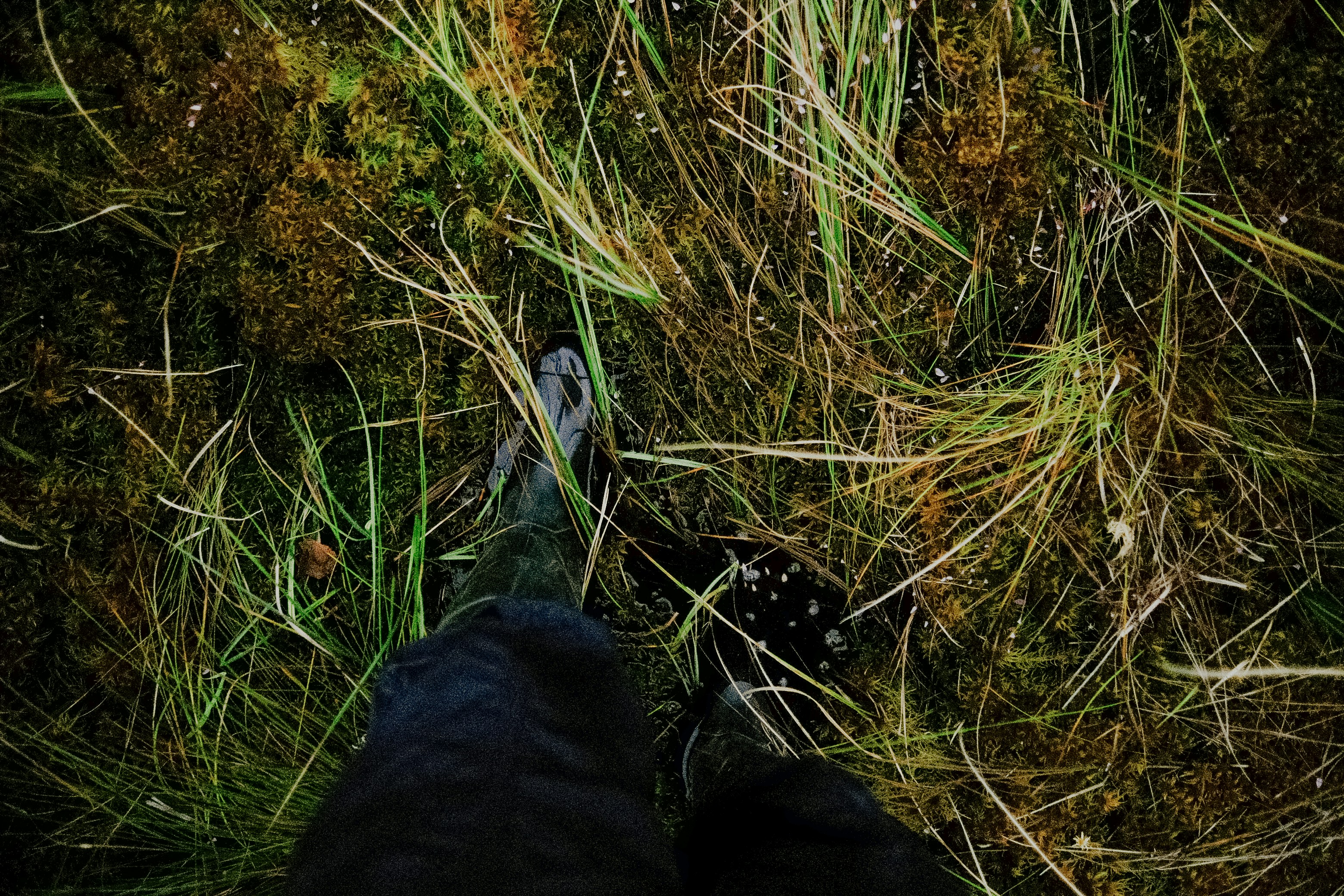 Pickleball doubles player demonstrating strategic poaching footwork and court movement from ready position