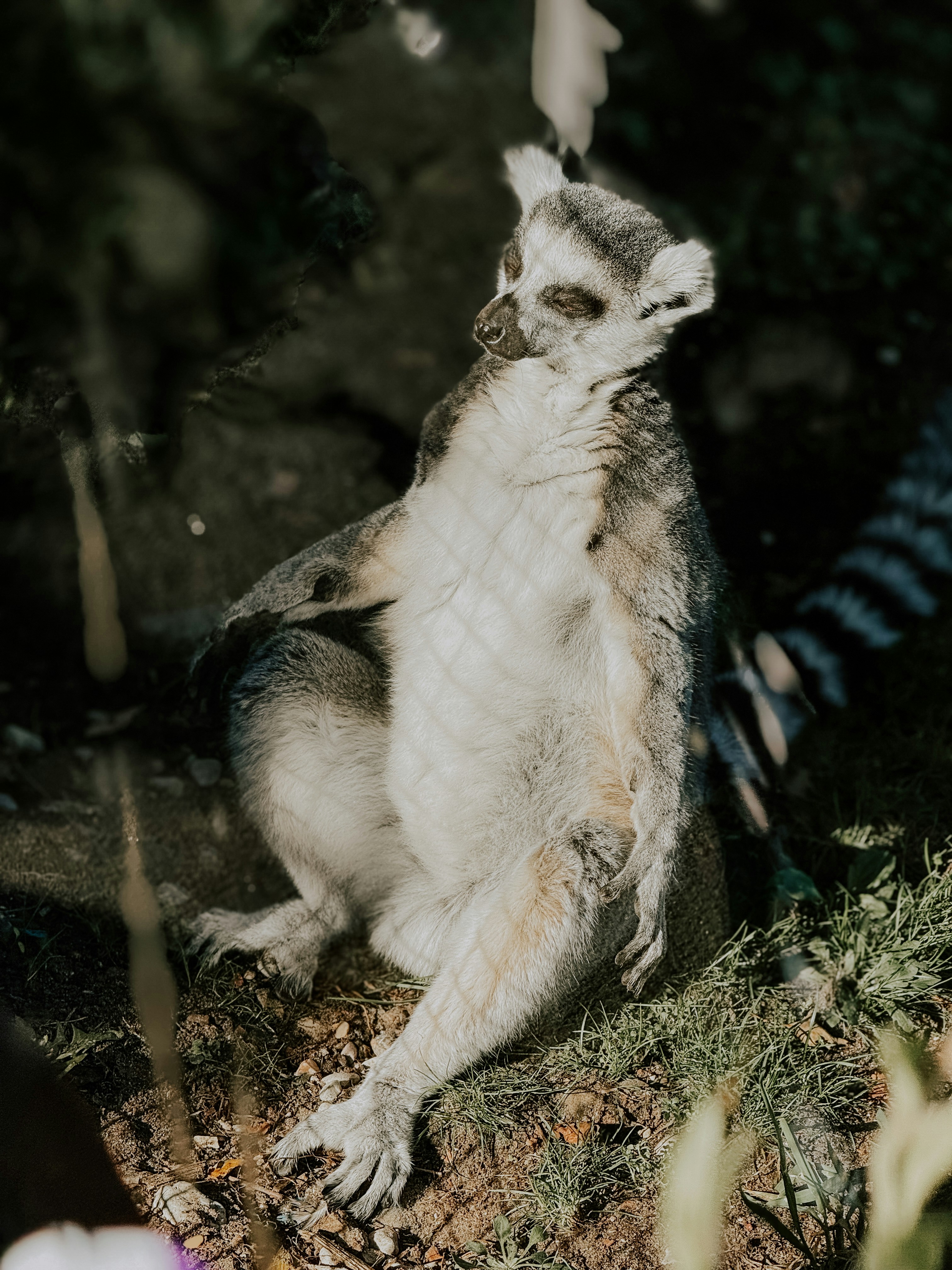 Photo by tsariovaanna