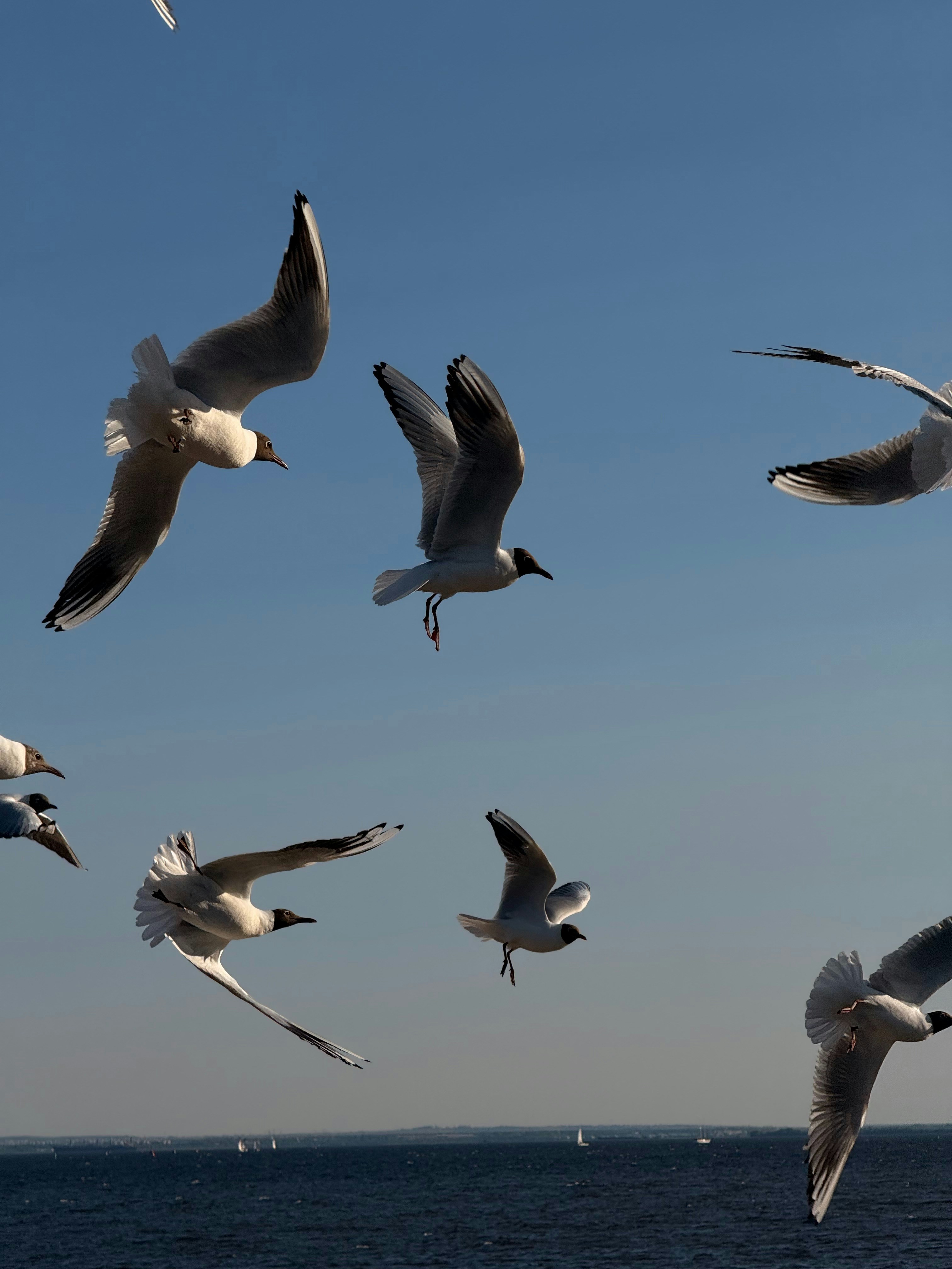 Photo by tsariovaanna