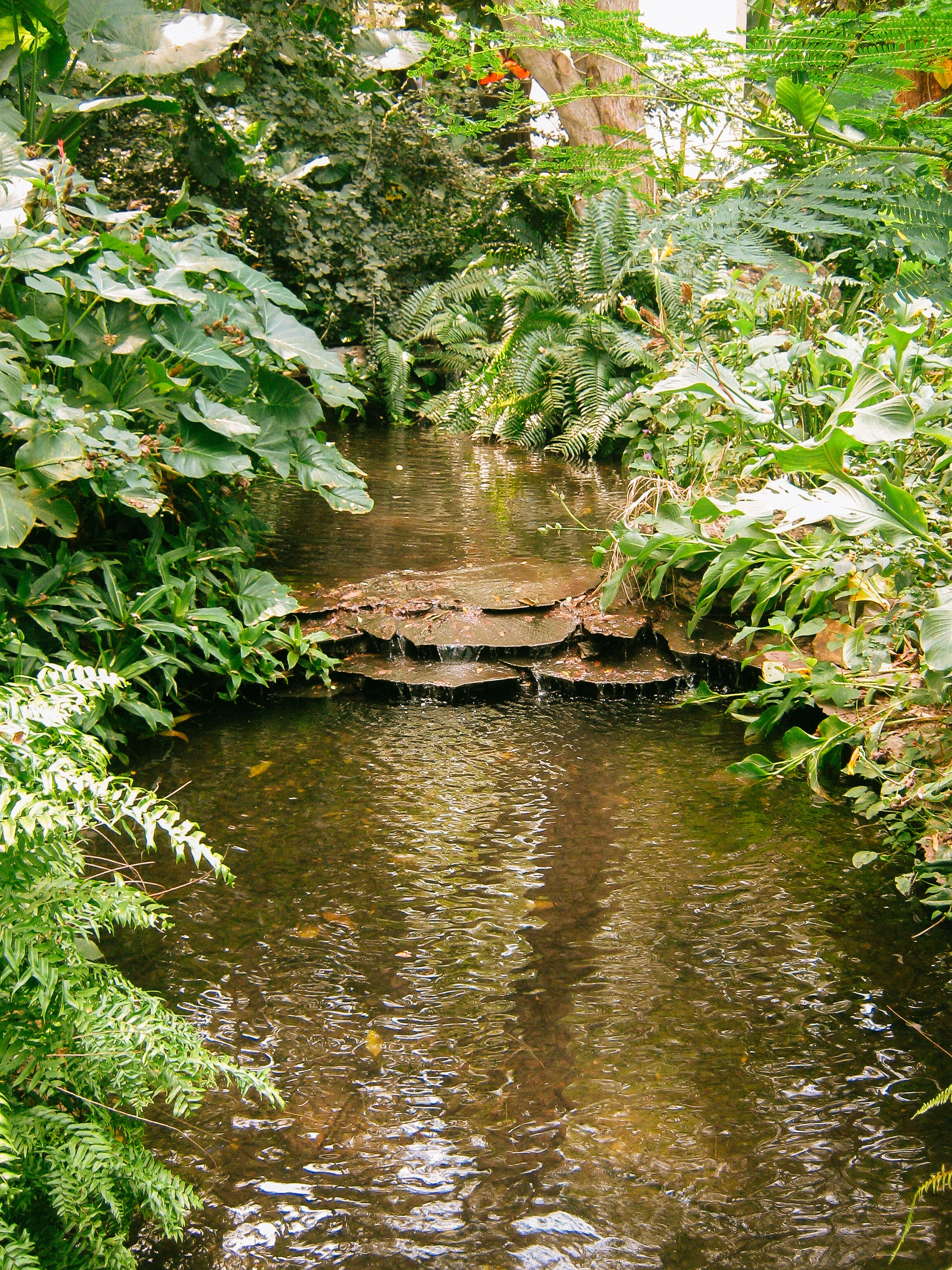 Photo by leovamexican