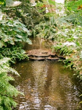 Малък градински поток, който тече сред пищна зеленина и естествена растителност.